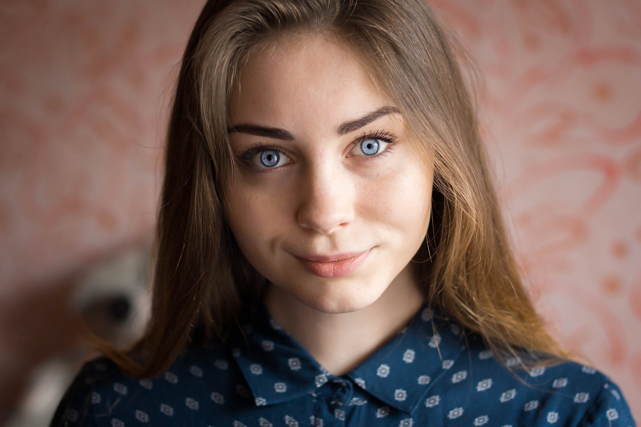 Sony Planar T* 50mm F1.4 ZA SSM sample photo. Vika photography