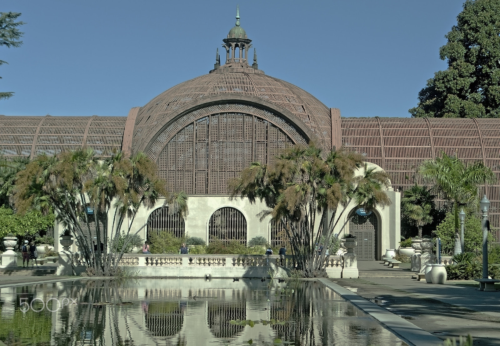 Nikon D90 sample photo. Balboa park botanical garden photography