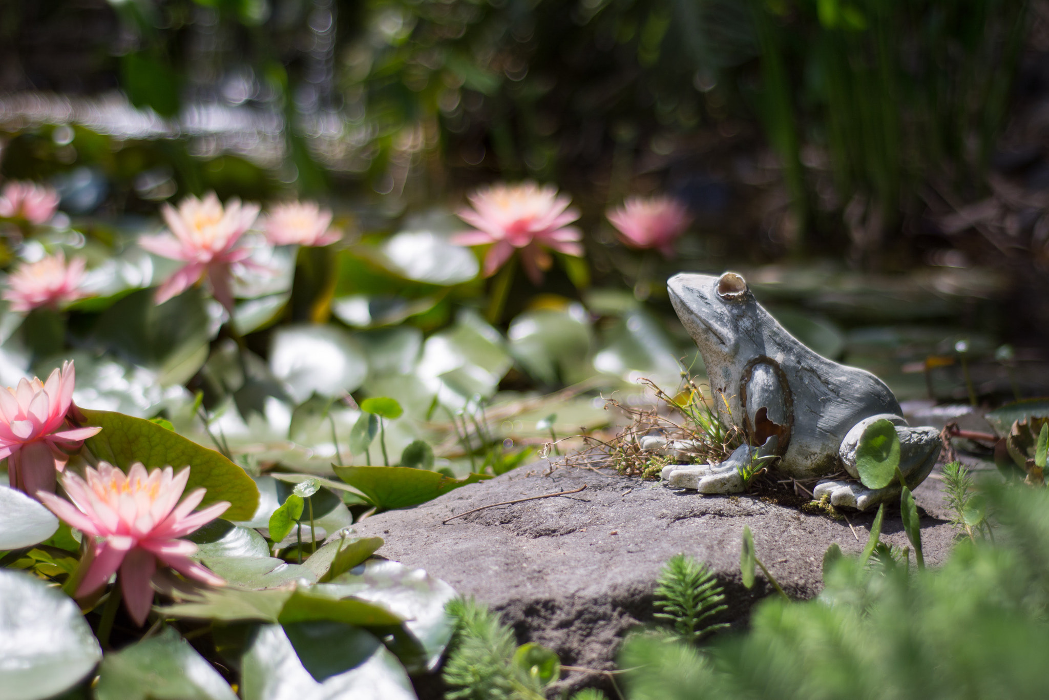 Nikon D7100 + Nikon AF Nikkor 50mm F1.8D sample photo. Being real photography