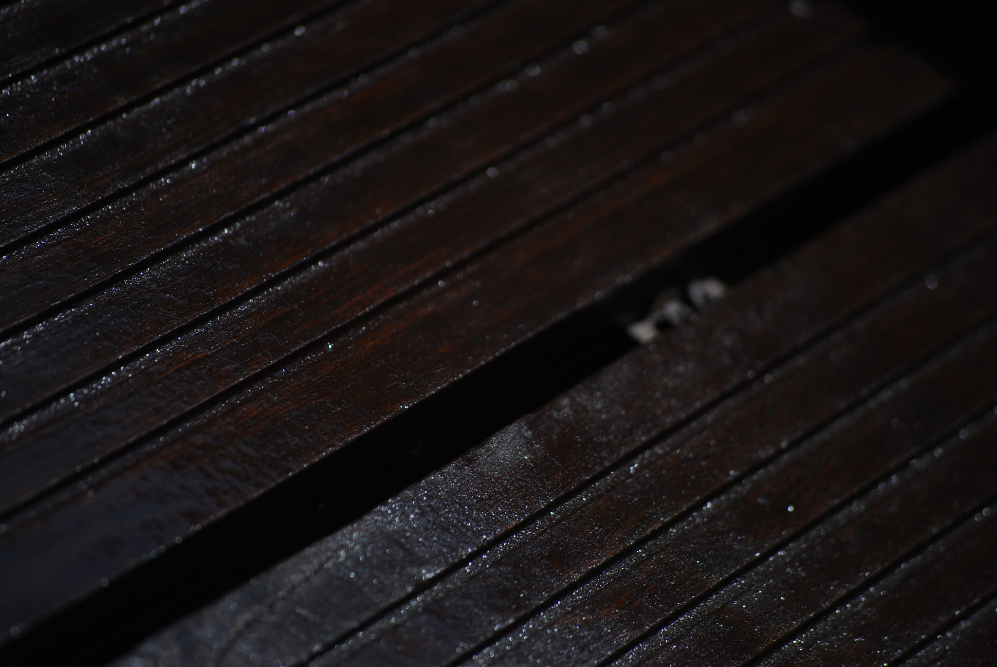 Nikon D60 sample photo. Wooden plank photography