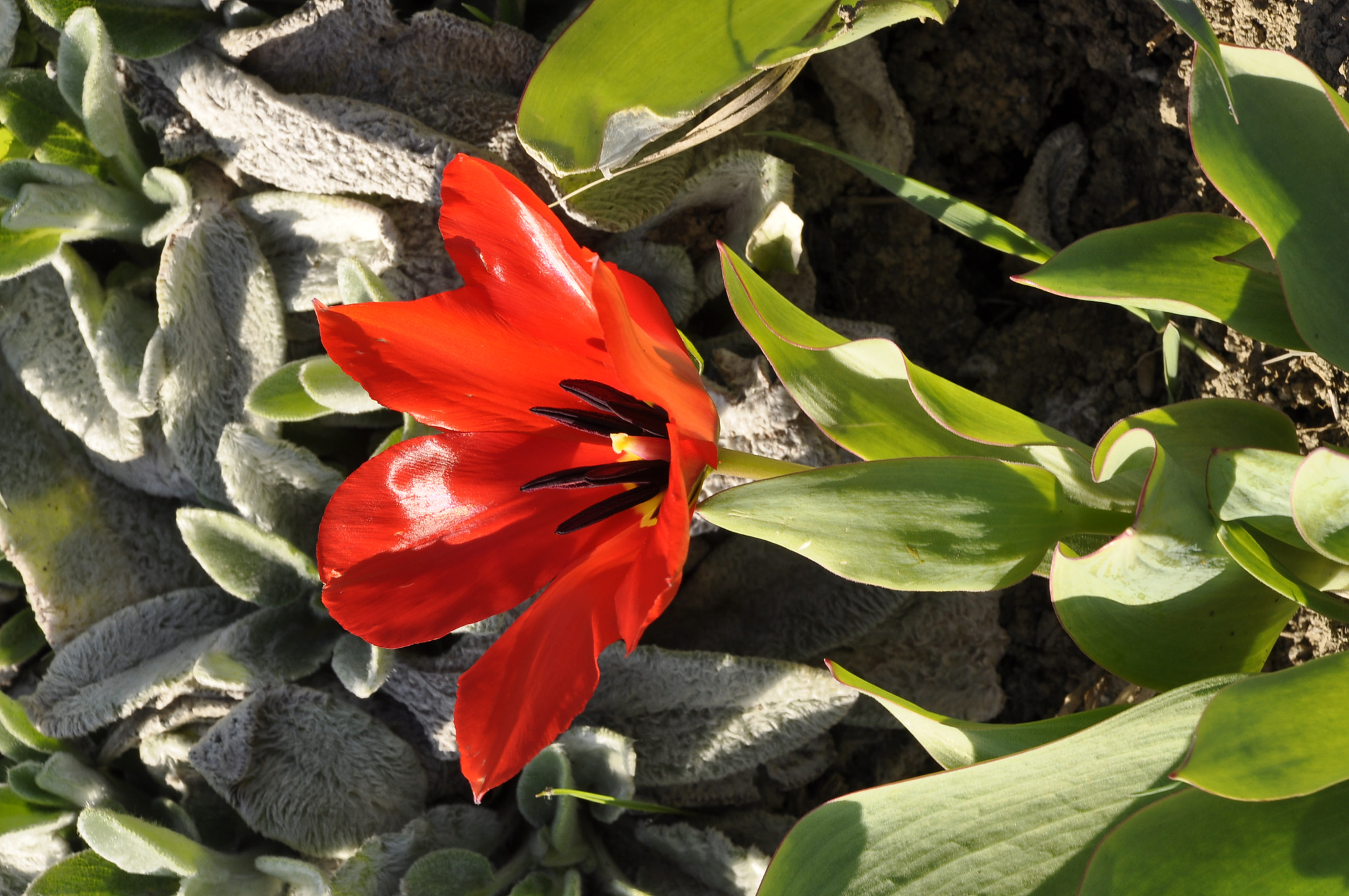 Nikon D90 sample photo. Spring sunny day- 2.04.2017 photography