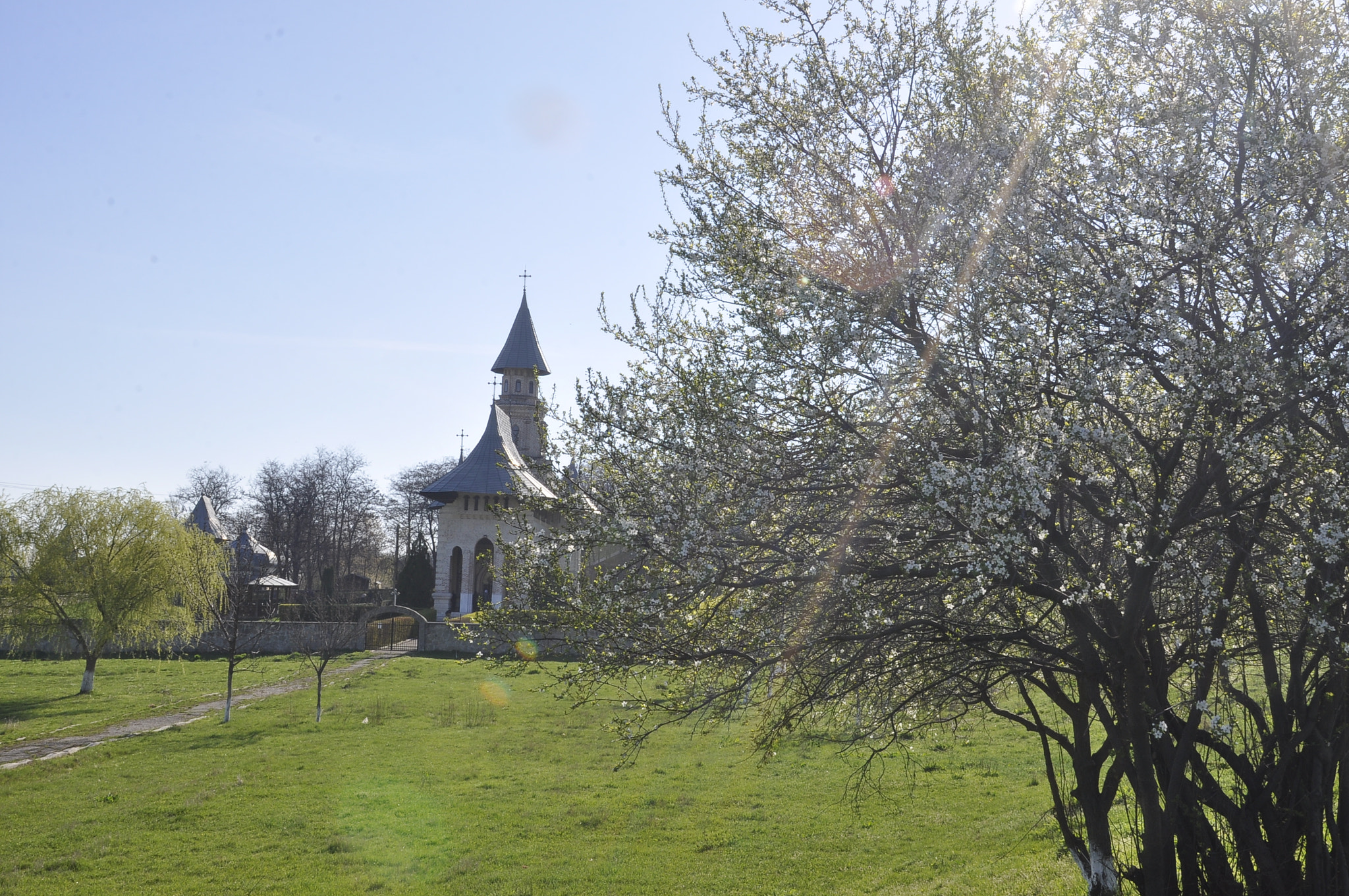 Nikon D90 sample photo. Spring sunny day- 2.04.2017 photography