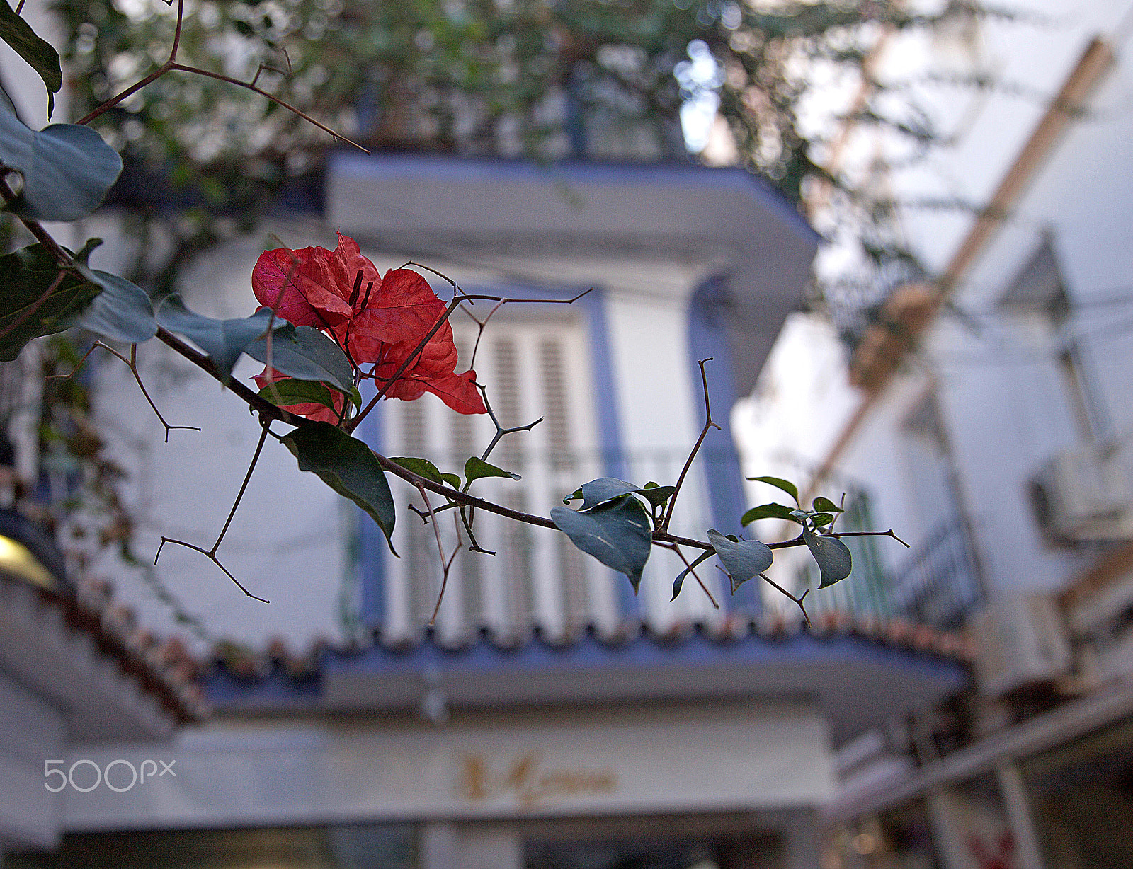 Canon EOS-1Ds Mark III sample photo. Zk photography