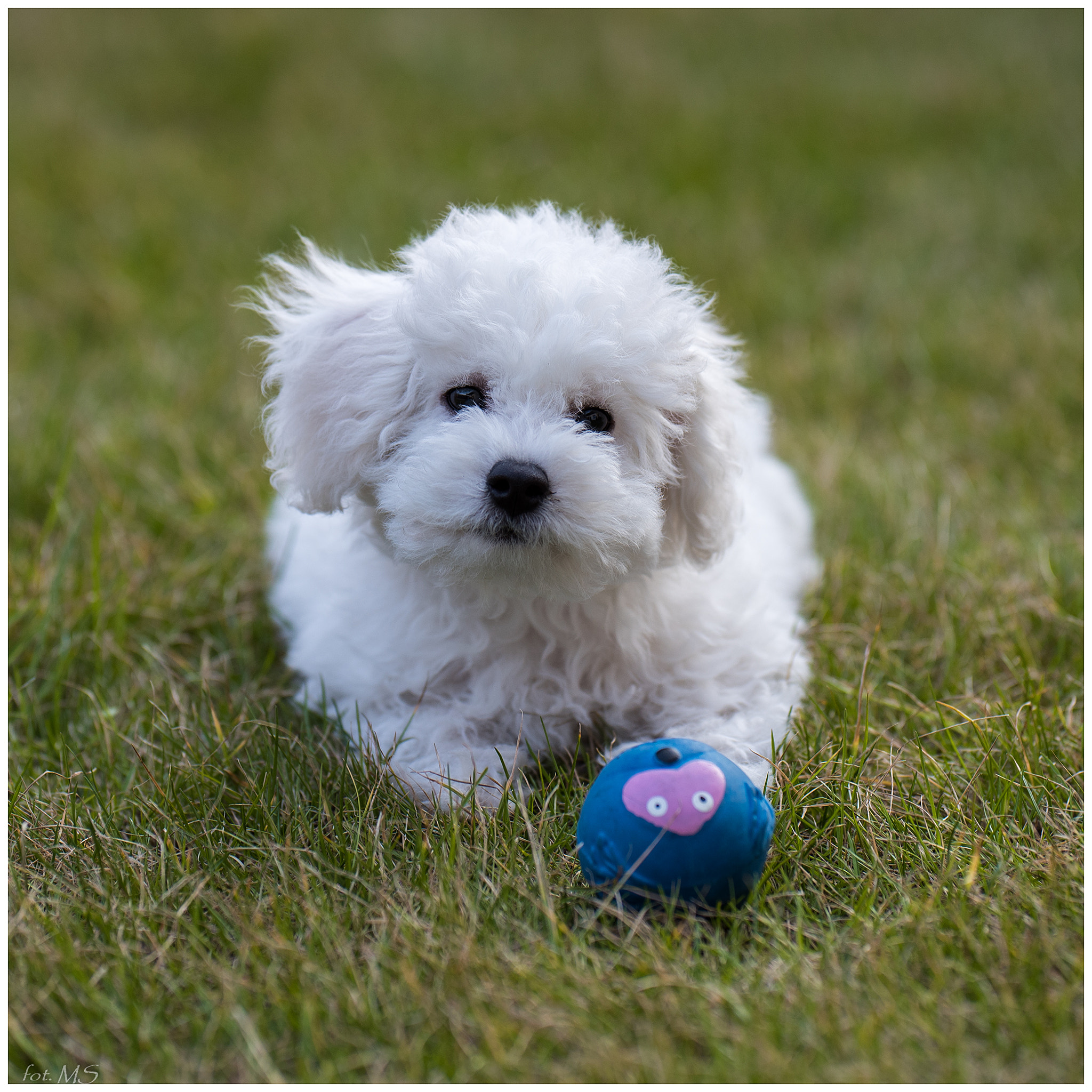 Nikon D750 + Sigma 105mm F2.8 EX DG Macro sample photo. Edit photography