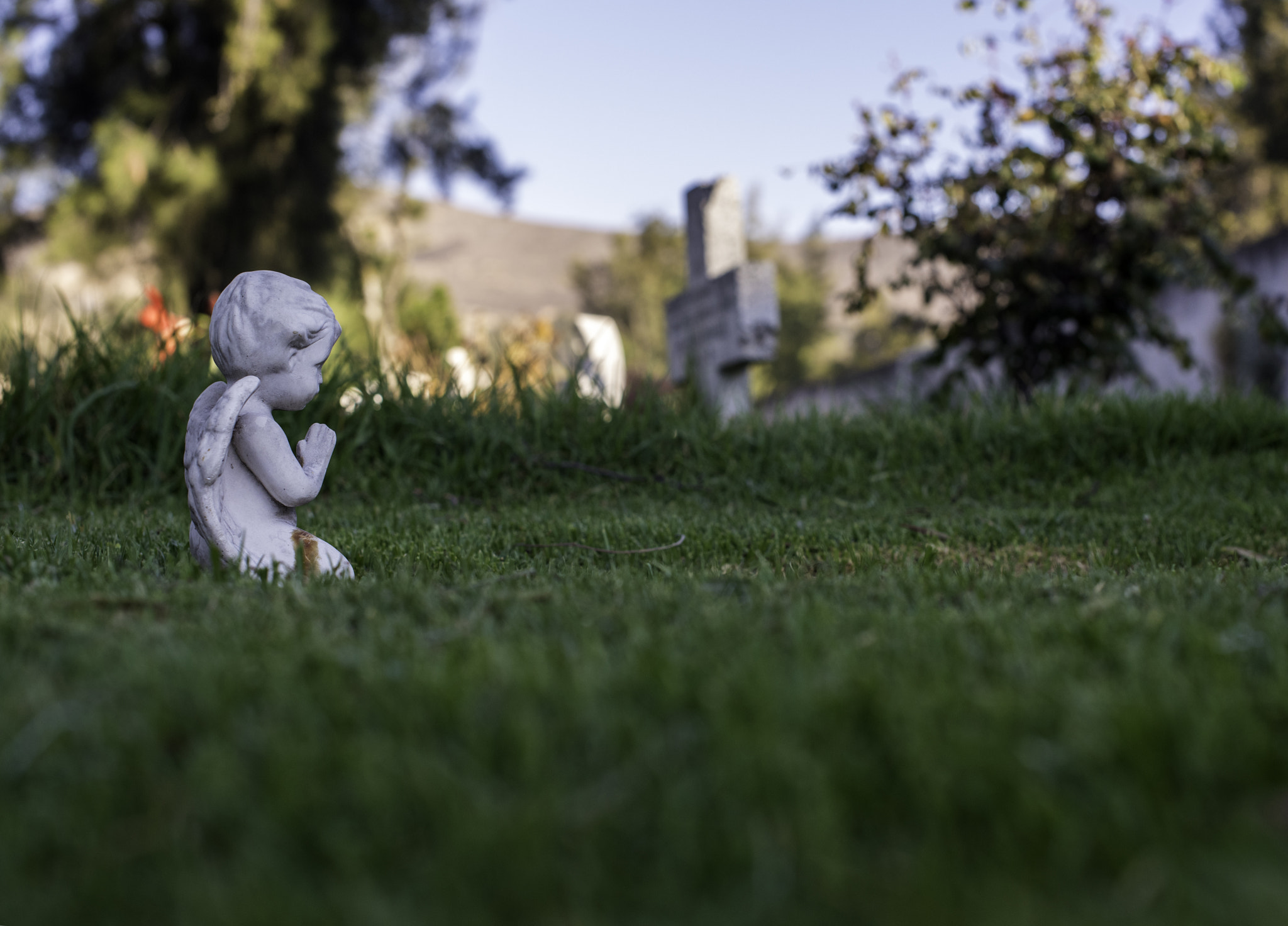 Nikon D810 + Nikon AF-S Nikkor 50mm F1.4G sample photo. Little angel photography
