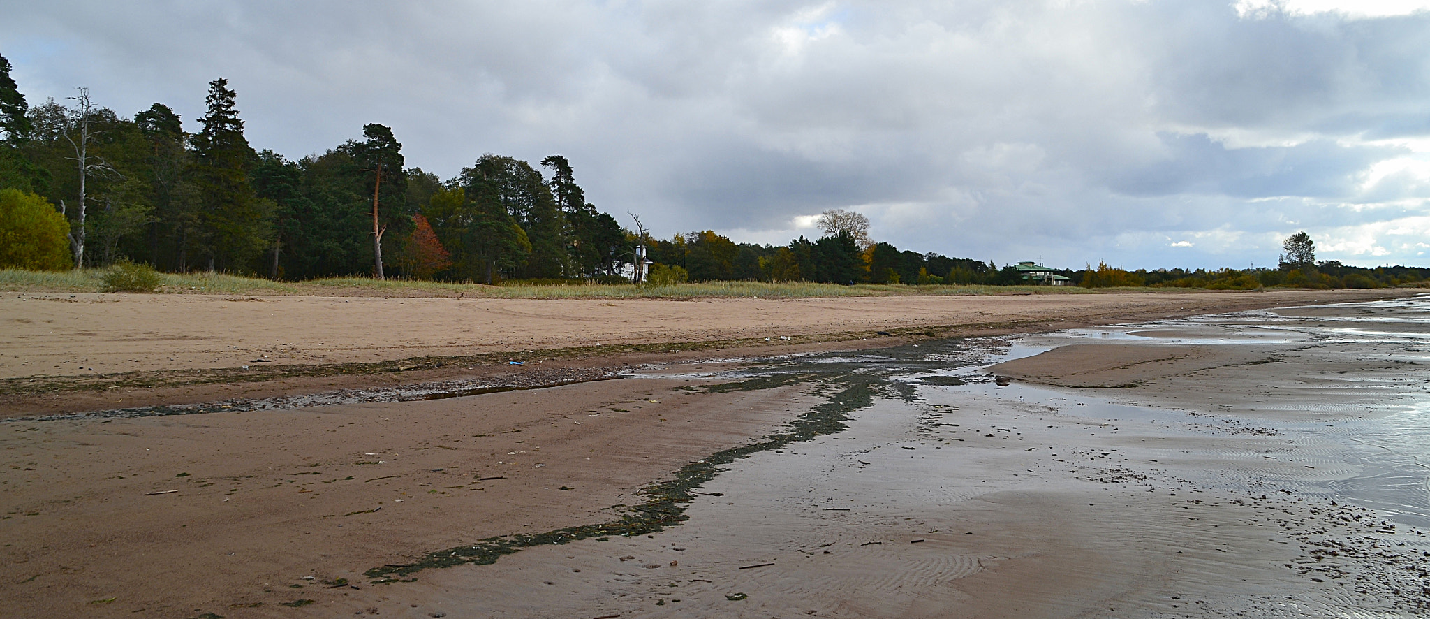 Nikon D3100 sample photo. Baltic low water photography