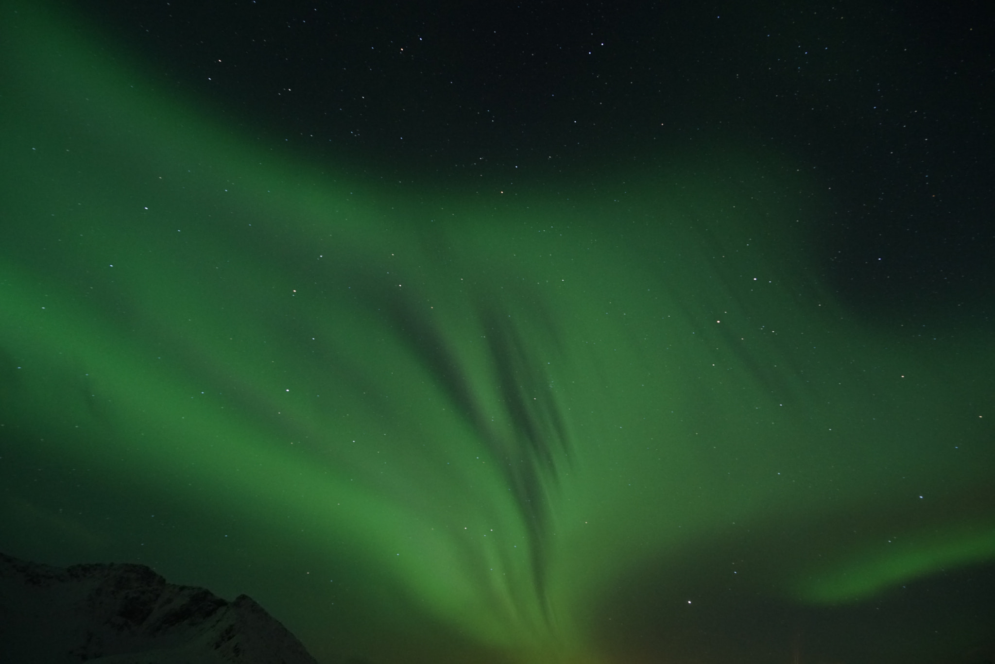 Sony a7R + Sony FE 24-240mm F3.5-6.3 OSS sample photo. Aurora borealis photography