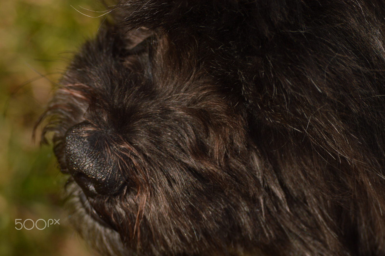 Nikon D3200 sample photo. Blackness photography