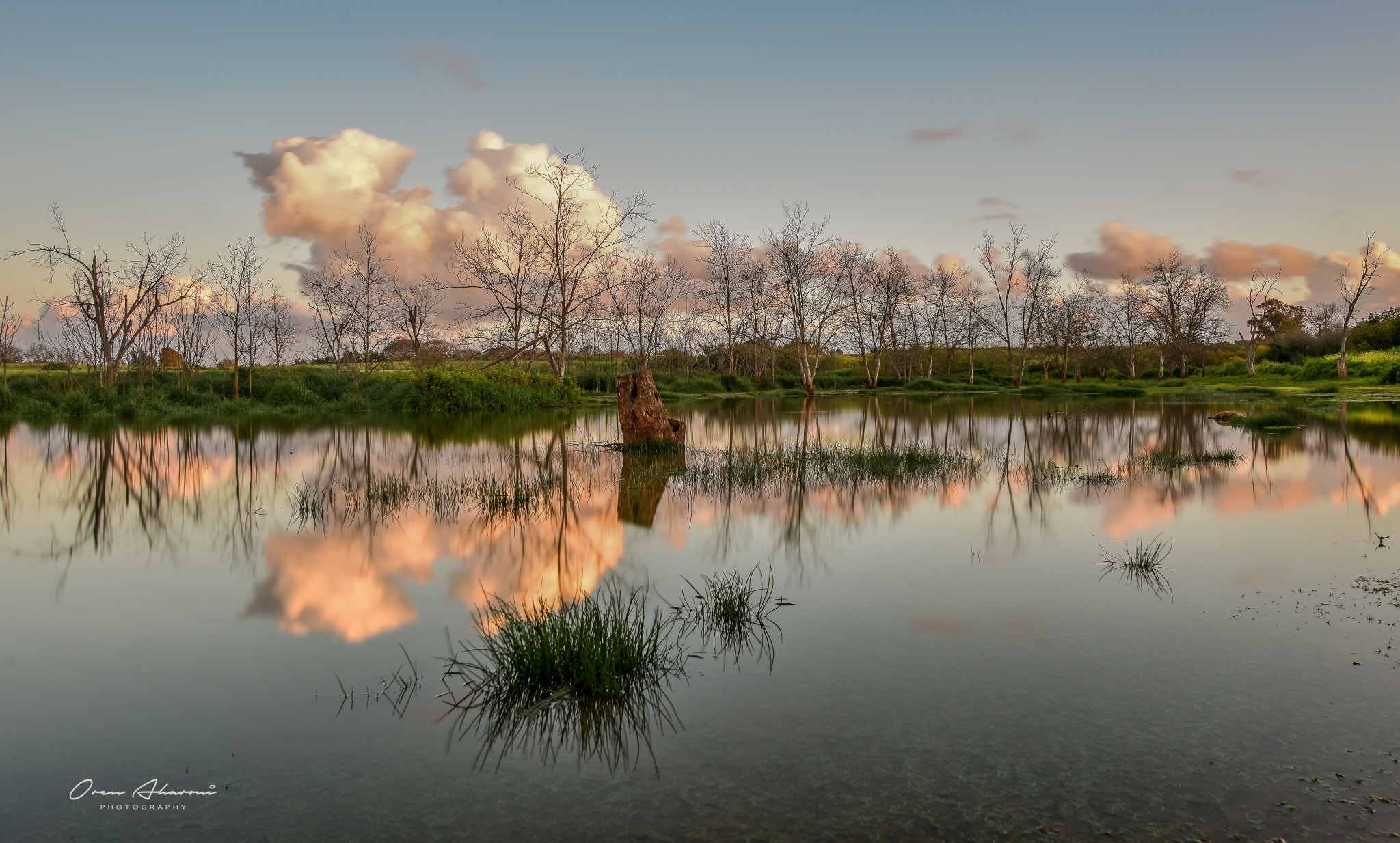 Nikon AF-S Nikkor 14-24mm F2.8G ED sample photo