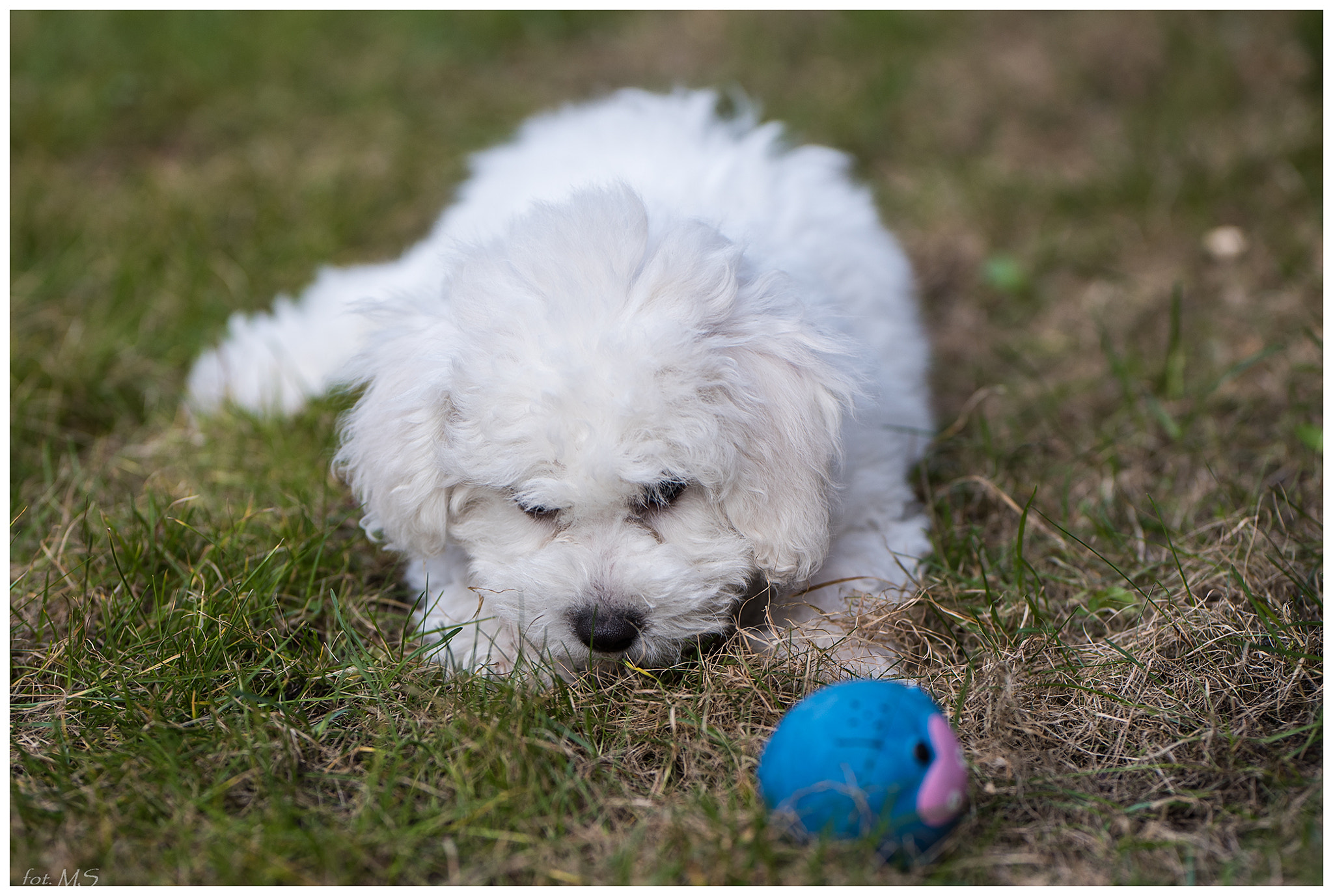 Nikon D750 + Sigma 105mm F2.8 EX DG Macro sample photo. Edit photography