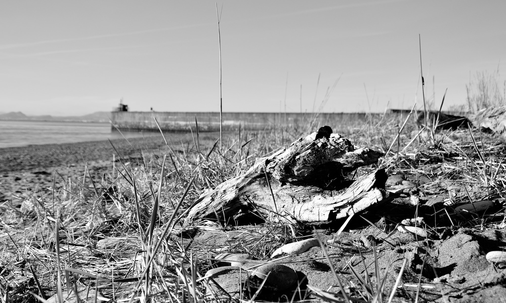 Nikon D3200 sample photo. Beach photography