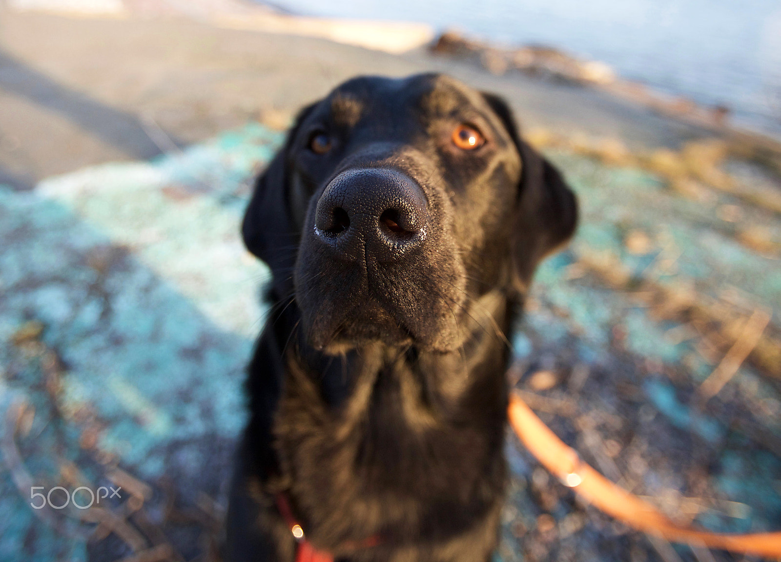 Canon EF 16-35mm F2.8L USM sample photo. Zk photography