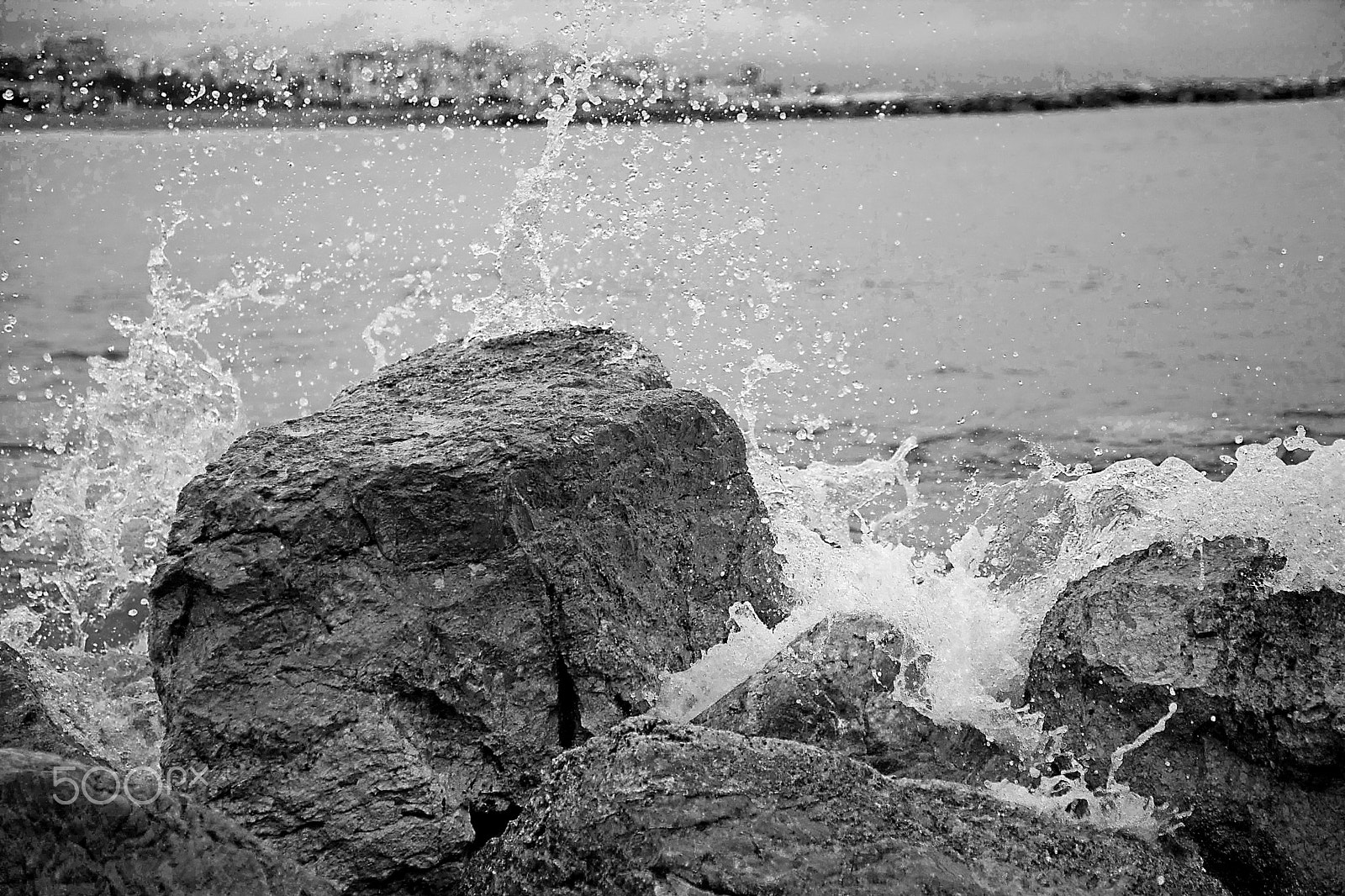 Canon EOS-1Ds Mark III sample photo. () photography