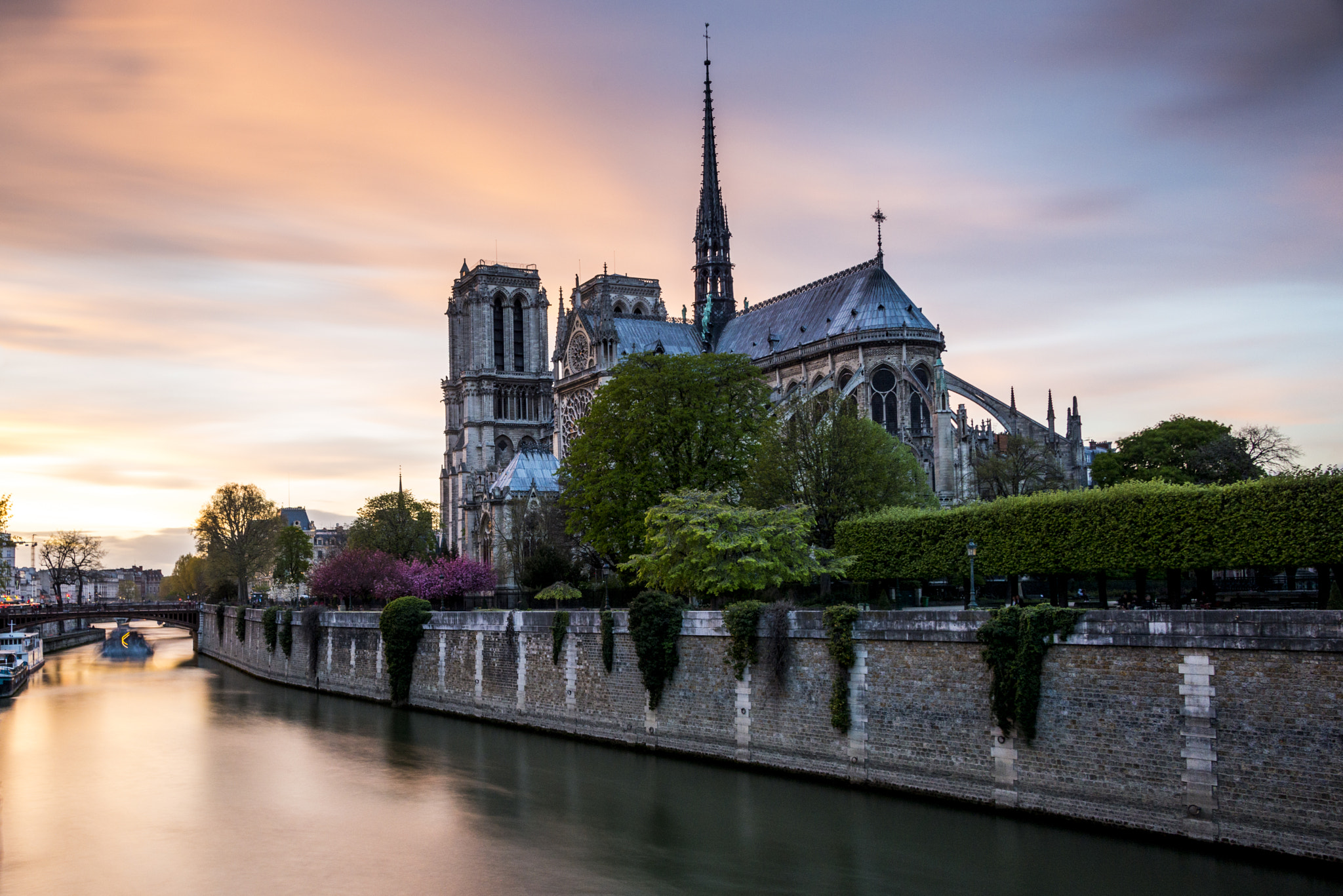 Nikon D800 sample photo. Notre dame photography
