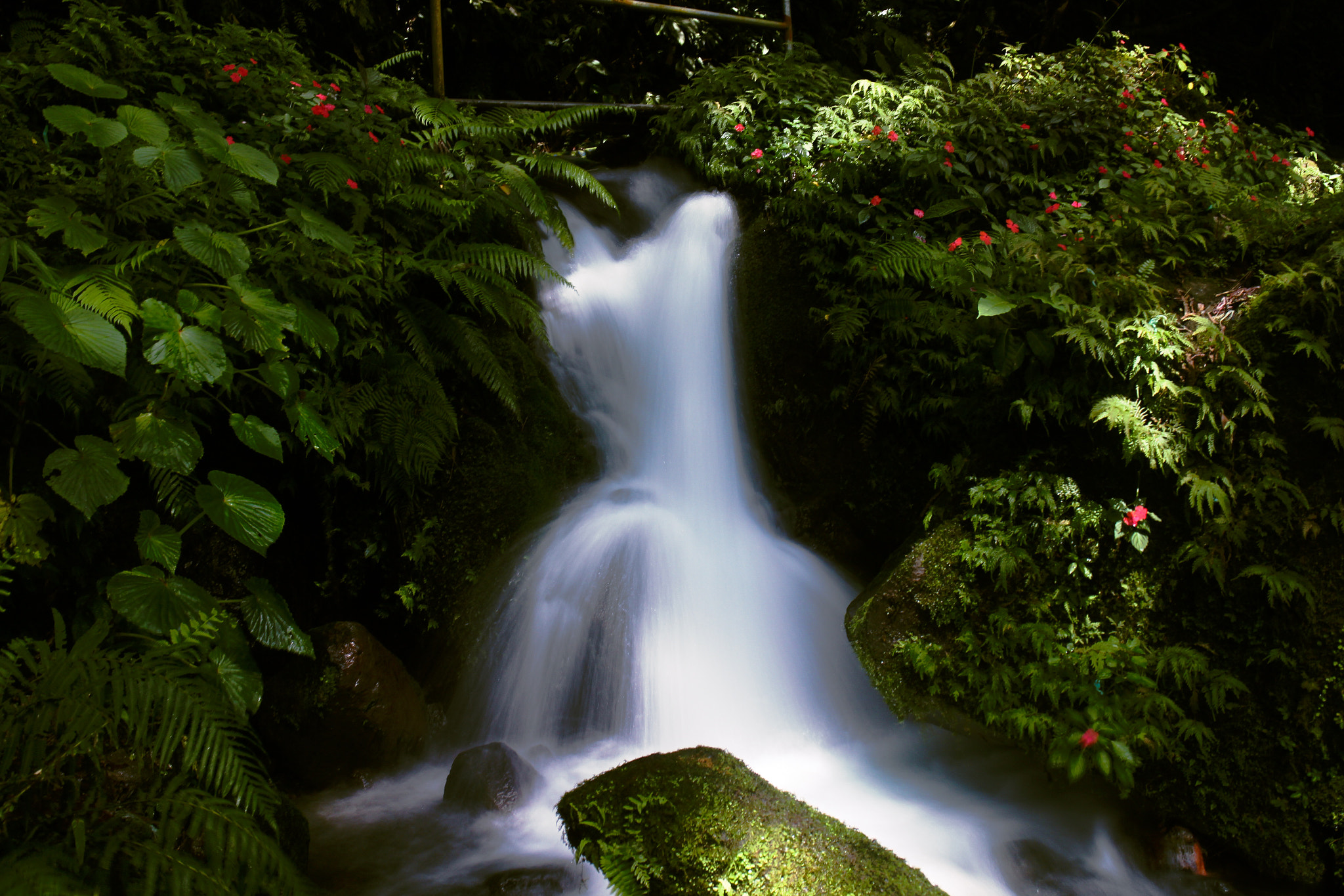 Canon EOS M2 sample photo. Mini waterfall @ taytay falls photography