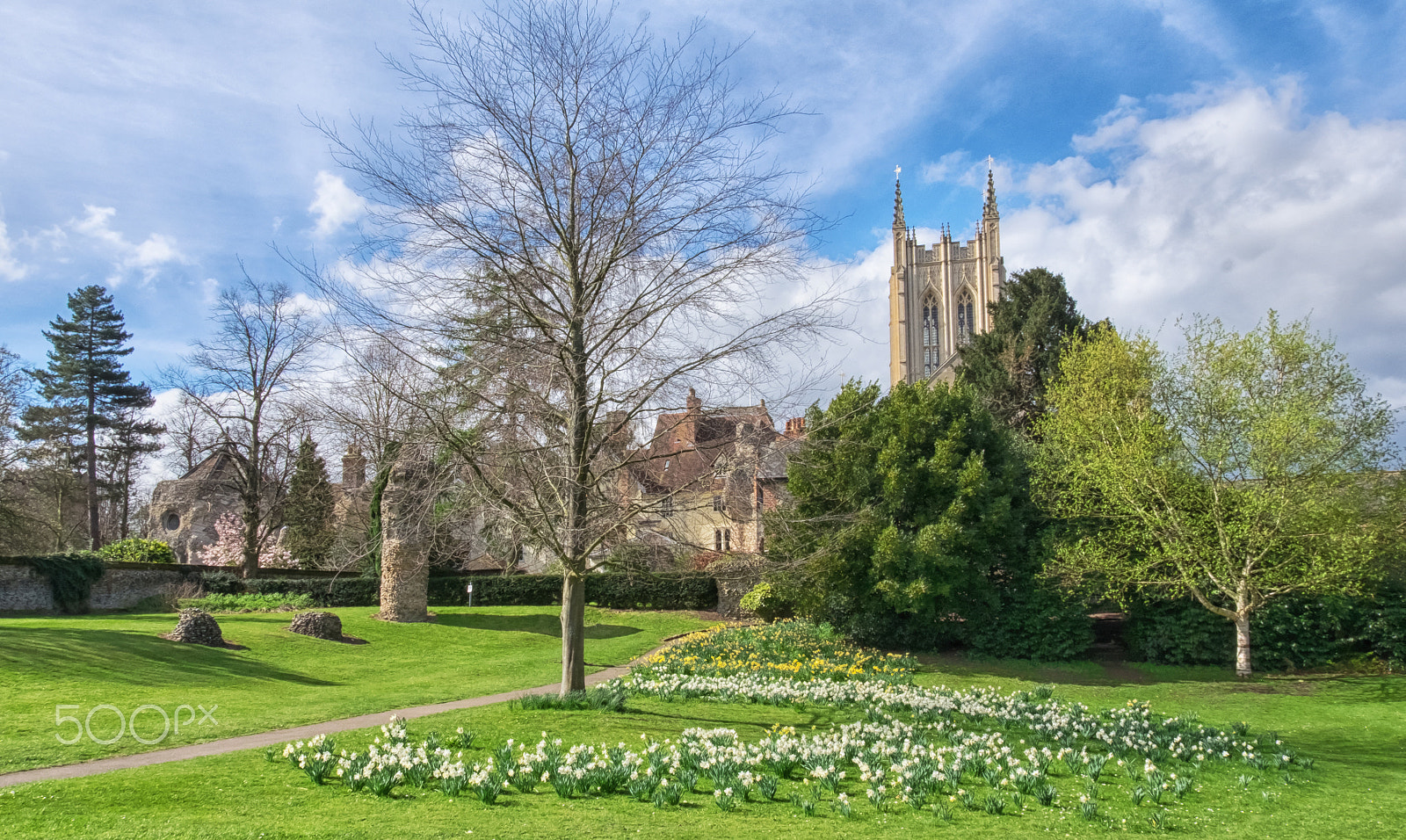 Fujifilm XC 16-50mm F3.5-5.6 OIS II sample photo. Abbey gardens photography