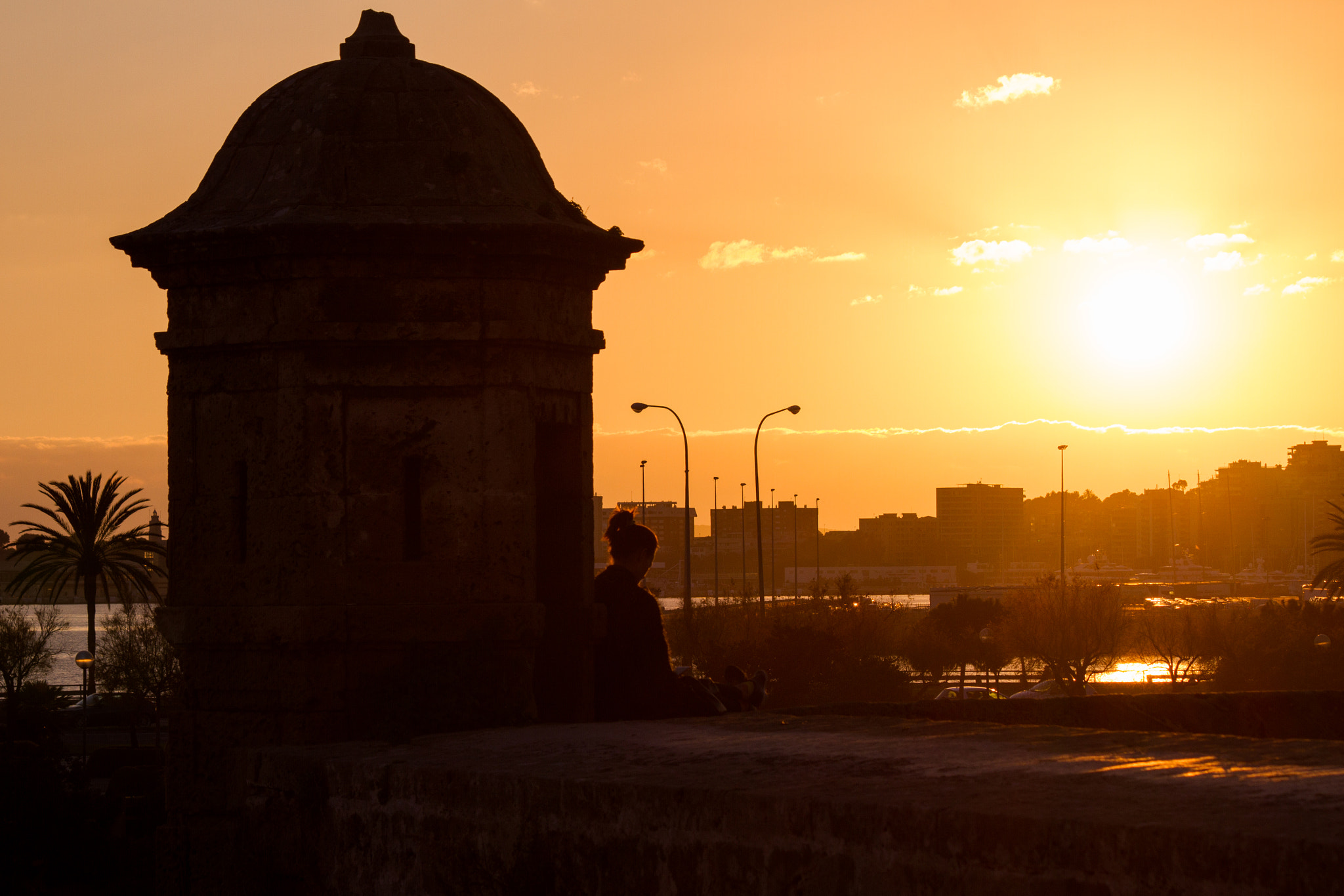 Canon EF-S 55-250mm F4-5.6 IS II sample photo. Catedral de mallorca photography