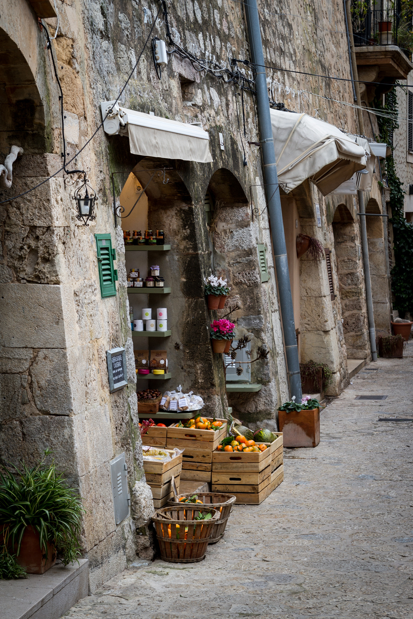 Tamron SP AF 17-50mm F2.8 XR Di II LD Aspherical (IF) sample photo. Valdemossa photography
