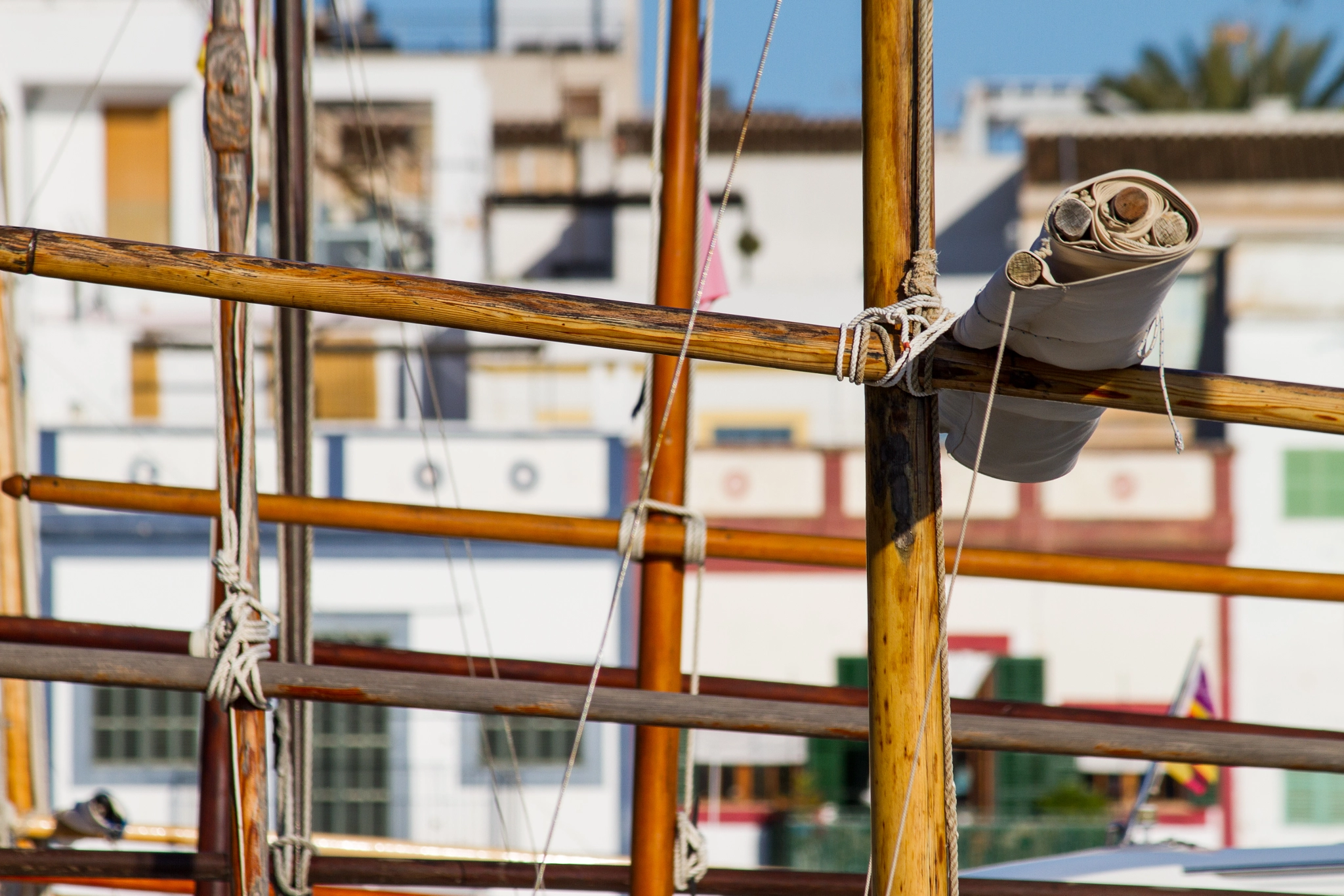 Canon EF-S 55-250mm F4-5.6 IS II sample photo. Segel photography