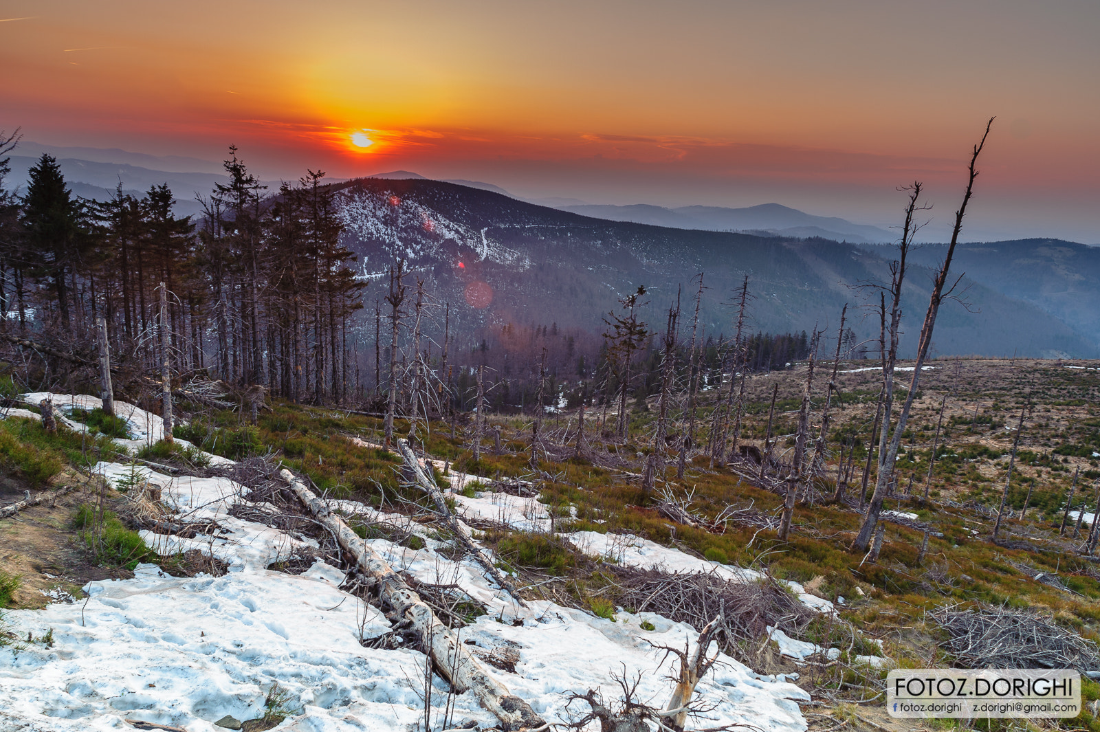 Nikon D700 + Sigma 24mm F1.8 EX DG Aspherical Macro sample photo. Spring time in polish beskid mountains photography