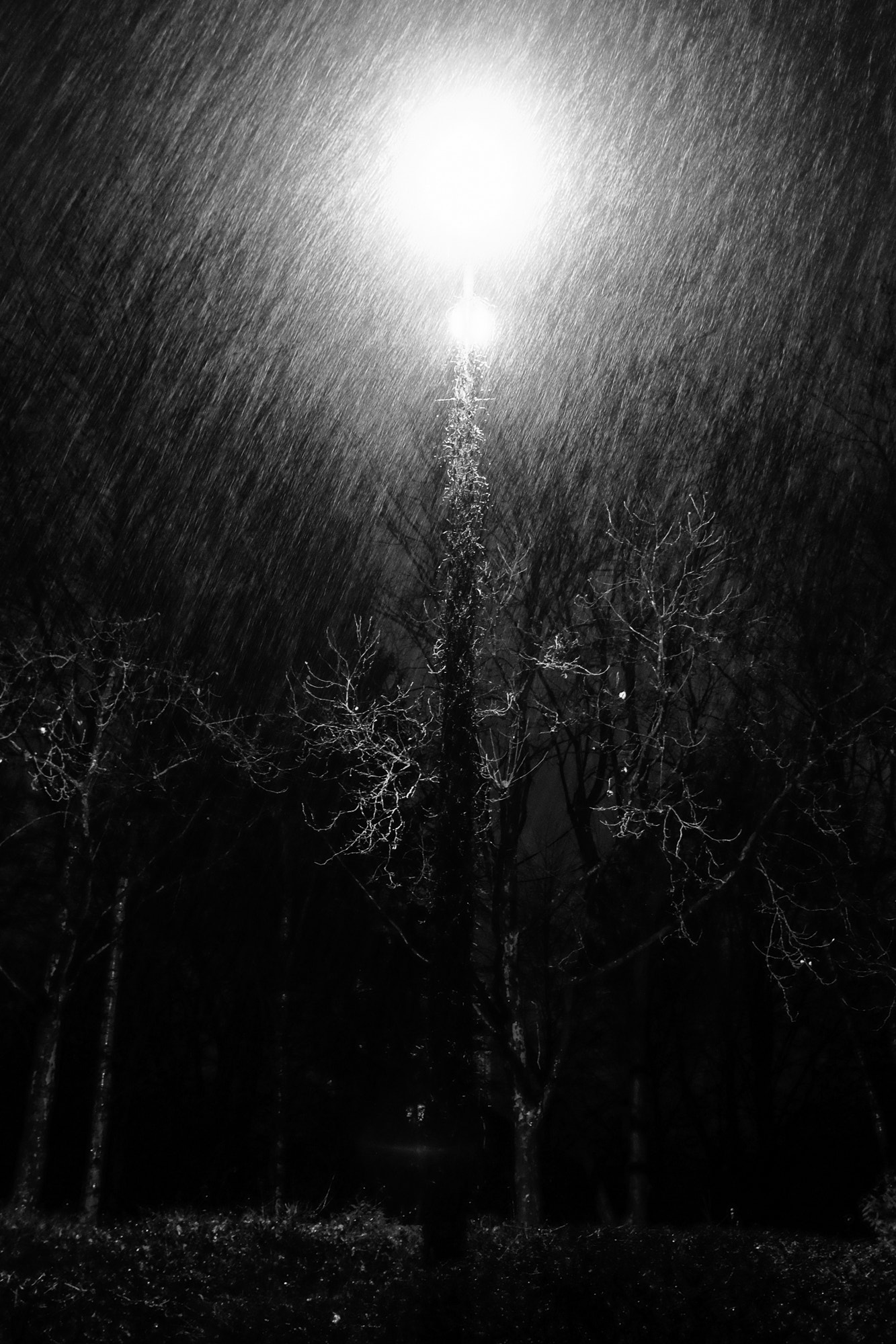 Fujifilm X-E2 sample photo. Rainy streetlight photography