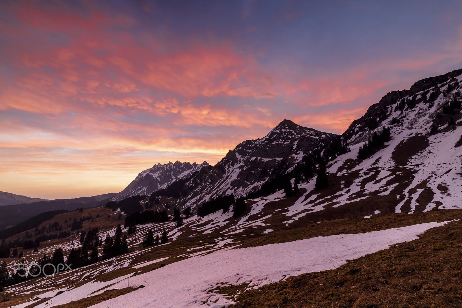 Canon EF 16-35mm F4L IS USM sample photo. Alpstein morning photography