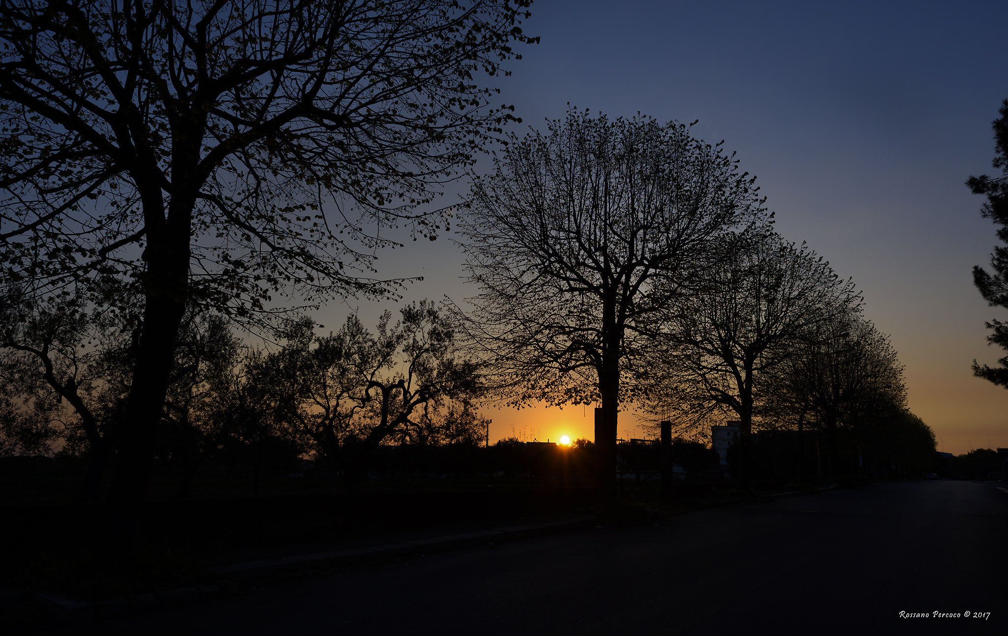 Nikon AF Nikkor 24mm F2.8D sample photo. Un'alba diversa photography