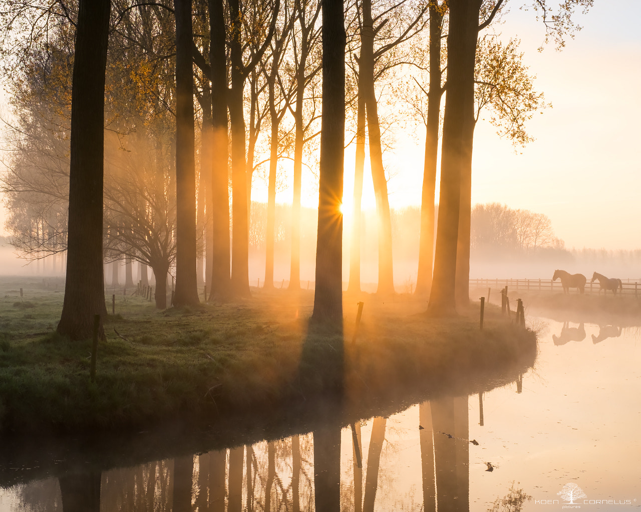 Fujifilm X-Pro1 + Fujifilm XF 35mm F1.4 R sample photo. Land van waas (b) photography