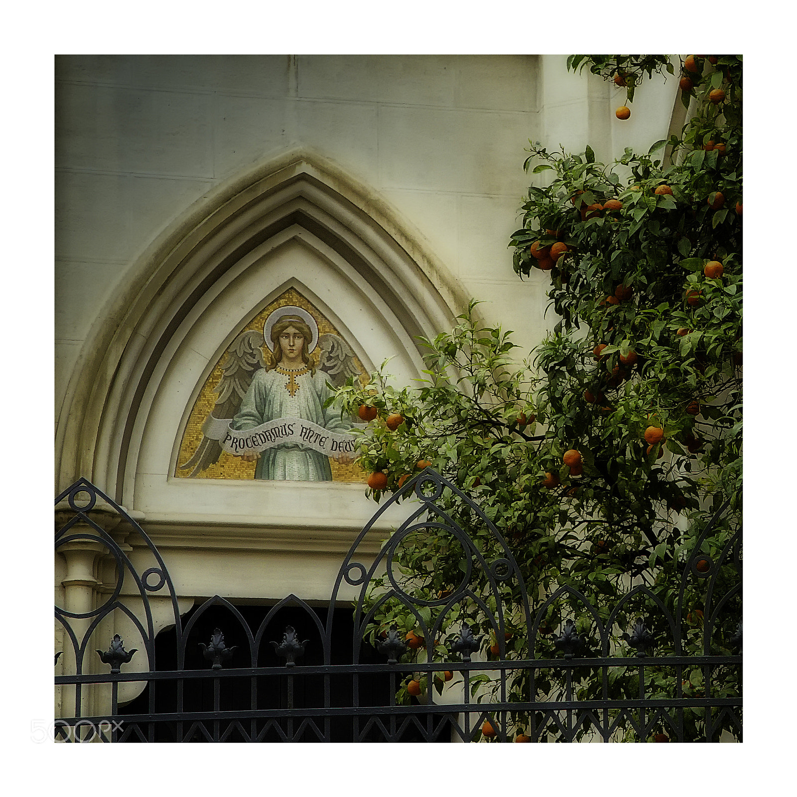 Canon EOS 7D Mark II sample photo. Left looking angel and orange tree photography