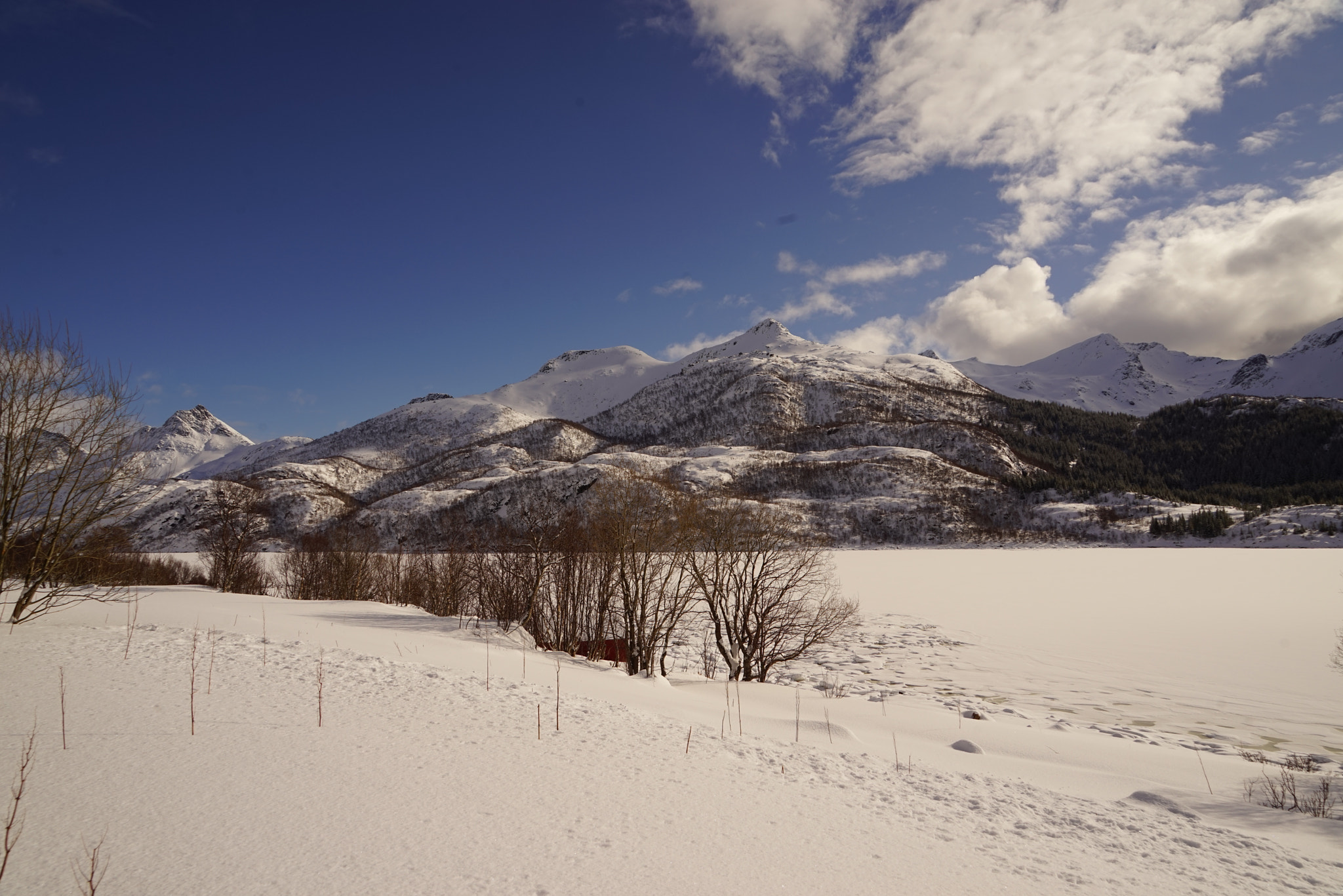 Sony a7R + Sony FE 24-240mm F3.5-6.3 OSS sample photo. Olderfjord photography