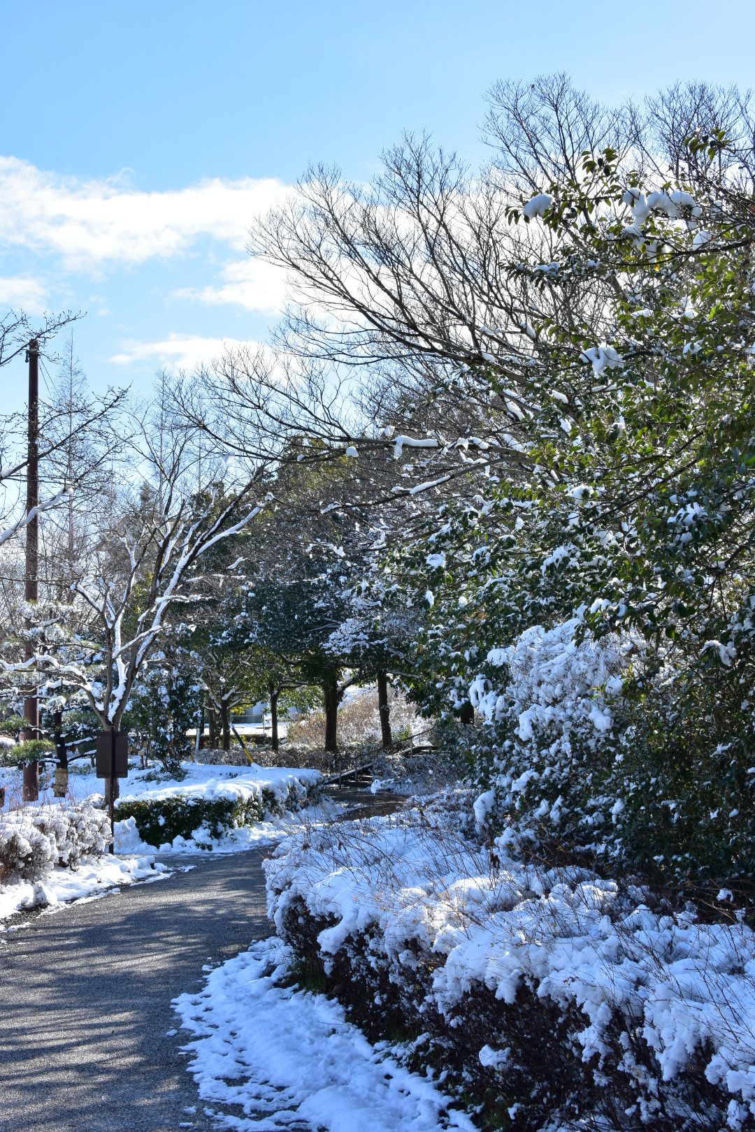 Nikon AF-S DX Nikkor 35mm F1.8G sample photo