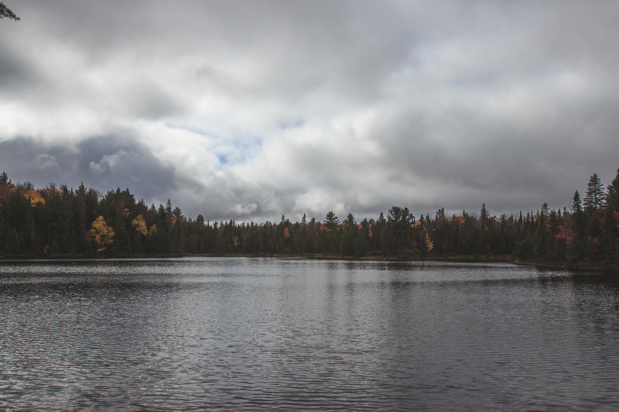 Canon EF 16-35mm F2.8L II USM sample photo. Algonquin photography