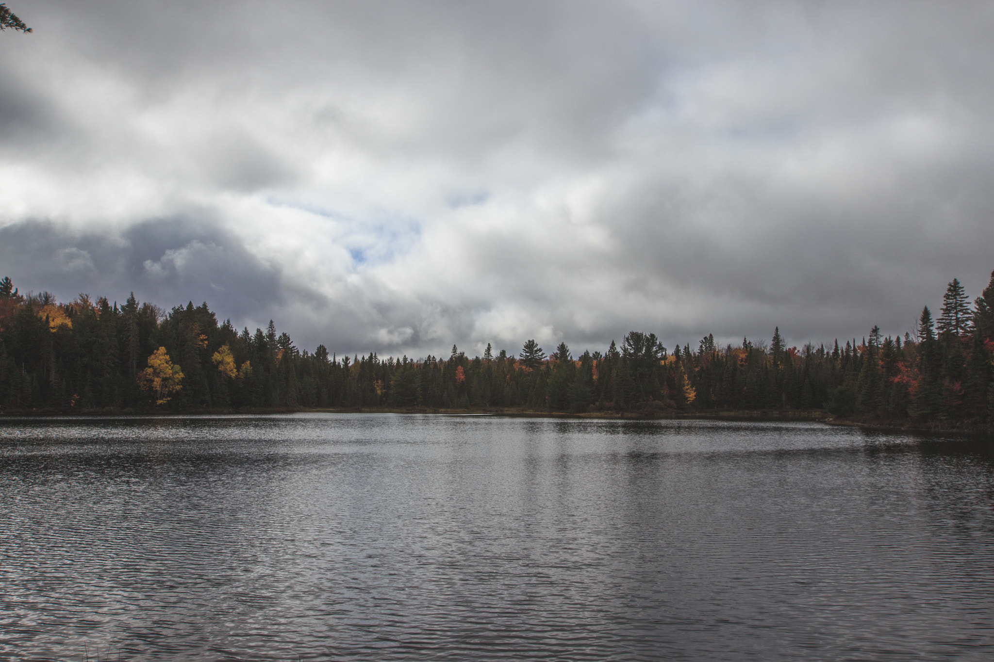 Canon EOS 600D (Rebel EOS T3i / EOS Kiss X5) + Canon EF 16-35mm F2.8L II USM sample photo. Algonquin photography