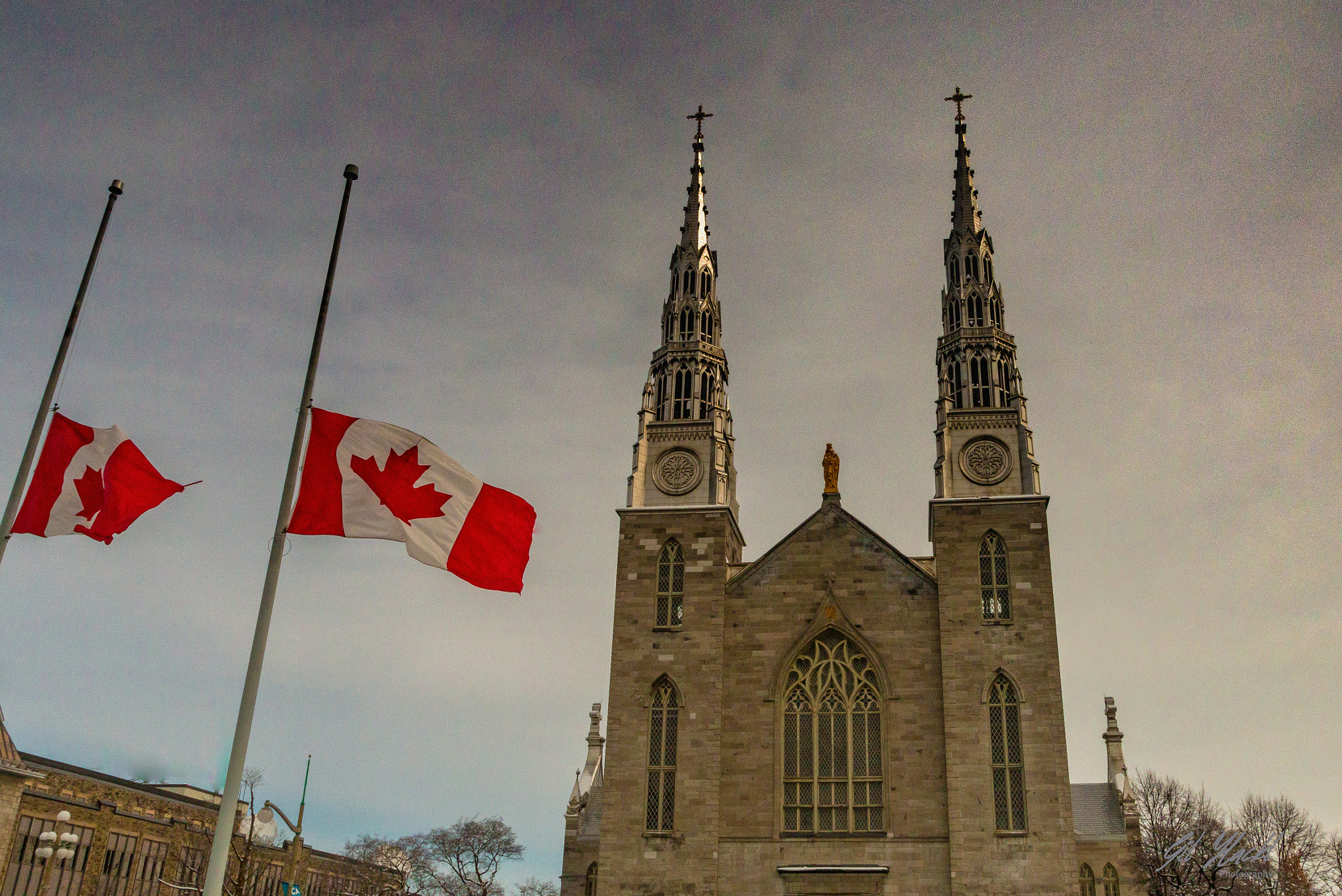 Canon EOS 70D + Canon EF 17-40mm F4L USM sample photo. Notre dame - ottawa photography