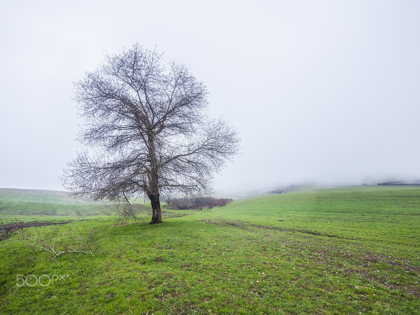 Panasonic Lumix DMC-GH4 + Panasonic Lumix G Vario 7-14mm F4 ASPH sample photo. Nude in the fog. ismayilli, azerbaijan photography