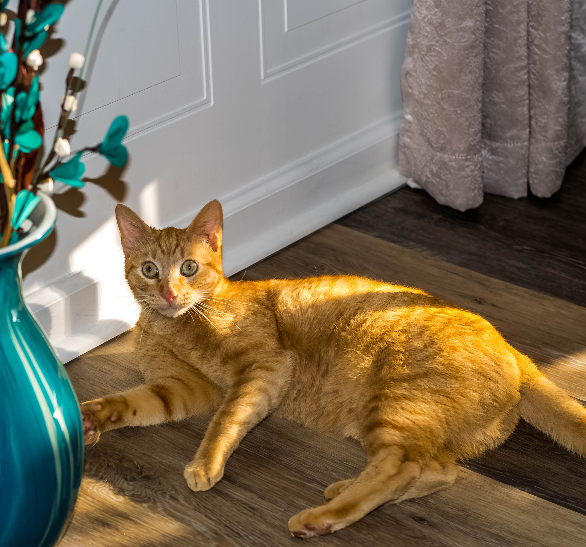 Nikon D5500 + Nikon AF-S Nikkor 50mm F1.8G sample photo. Dsc photography