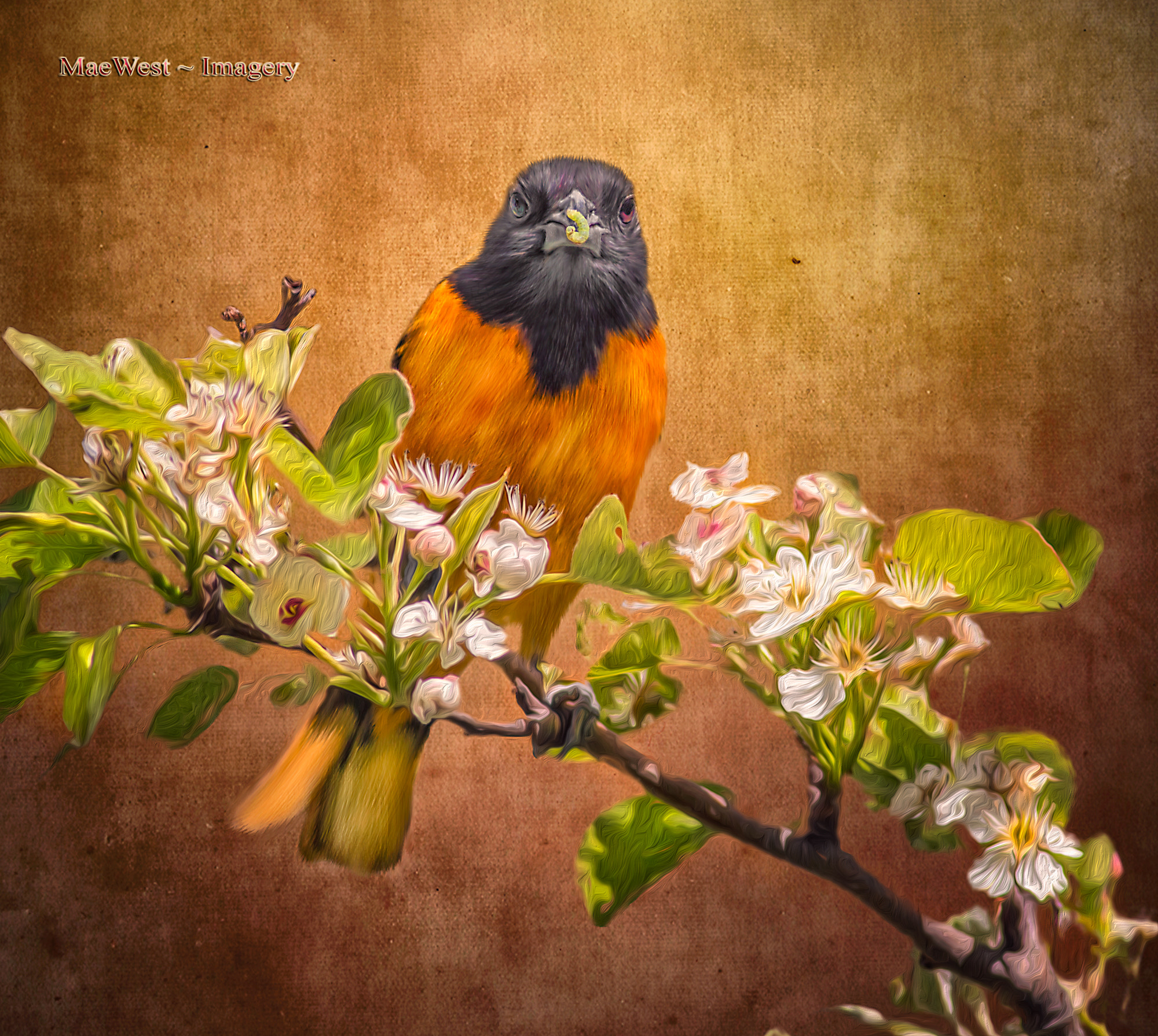 Canon EOS 70D + Canon EF 400mm F5.6L USM sample photo. Baltimore oriole photography