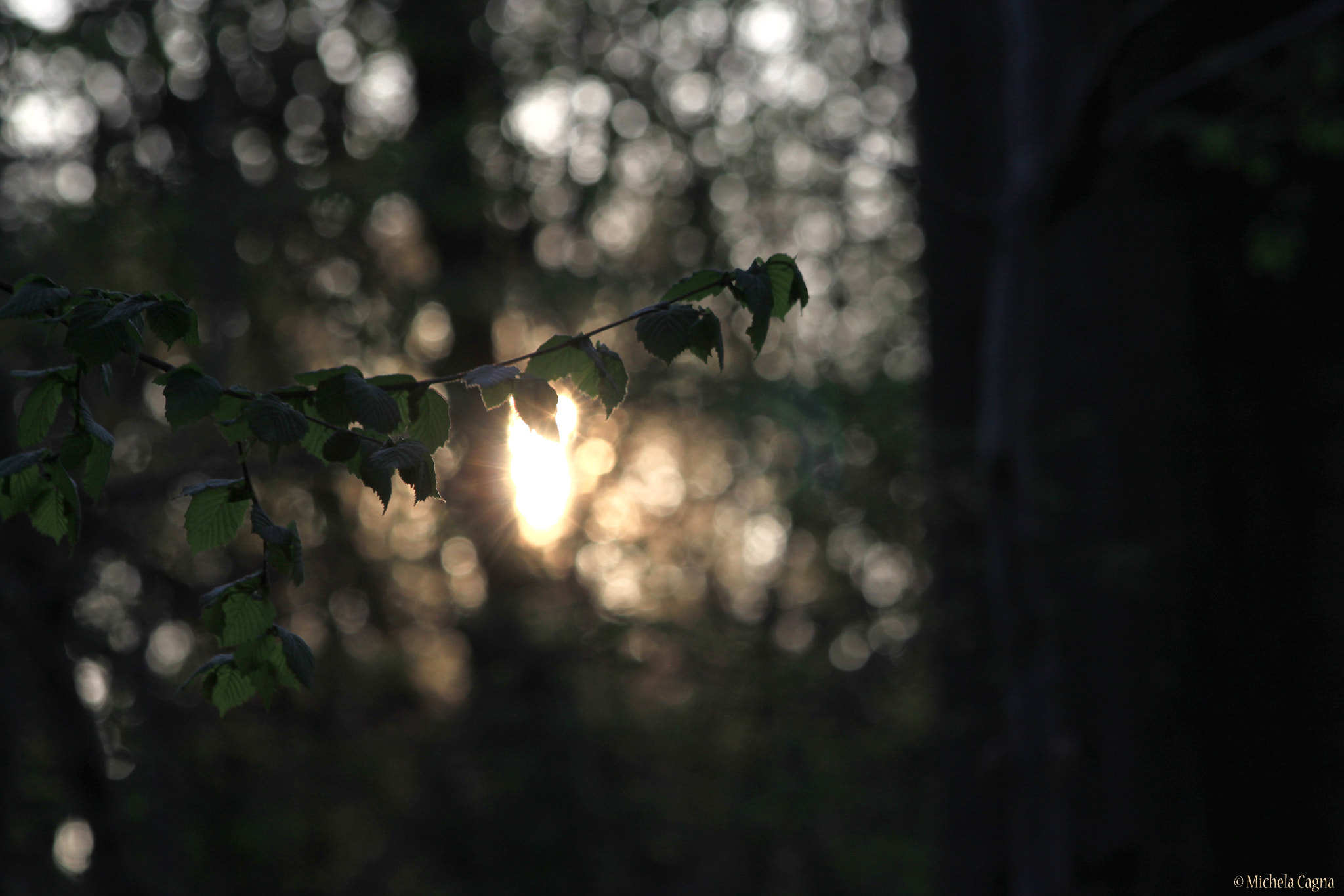Canon EF 70-300mm F4-5.6 IS USM sample photo. A ray of light. photography