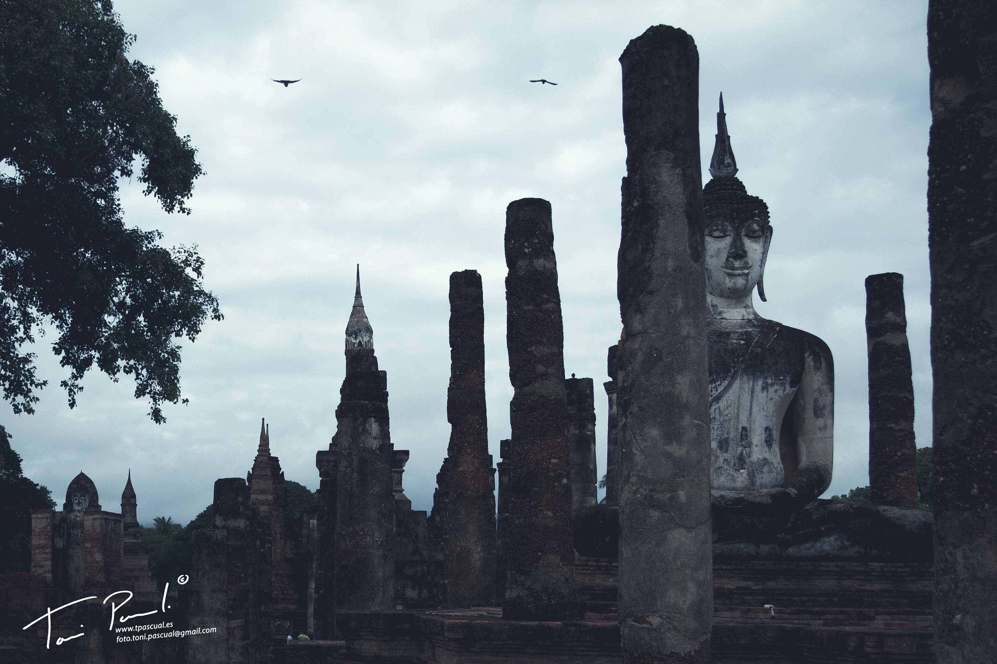 Canon EF-S 17-85mm F4-5.6 IS USM sample photo. Thailandia photography
