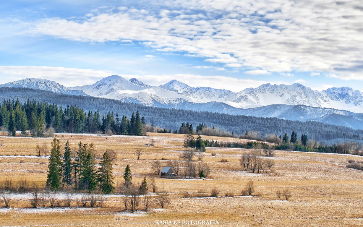 Nikon D300 + Tamron SP AF 70-200mm F2.8 Di LD (IF) MACRO sample photo. Tatry pl photography