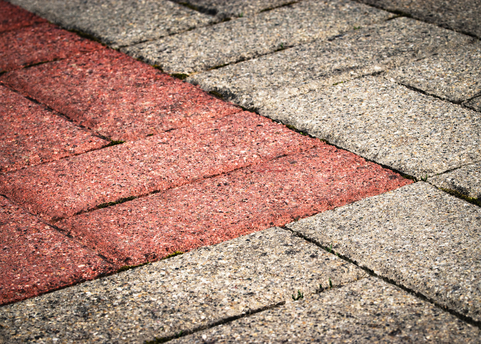 Nikon D5500 sample photo. Old concrete pavement photography