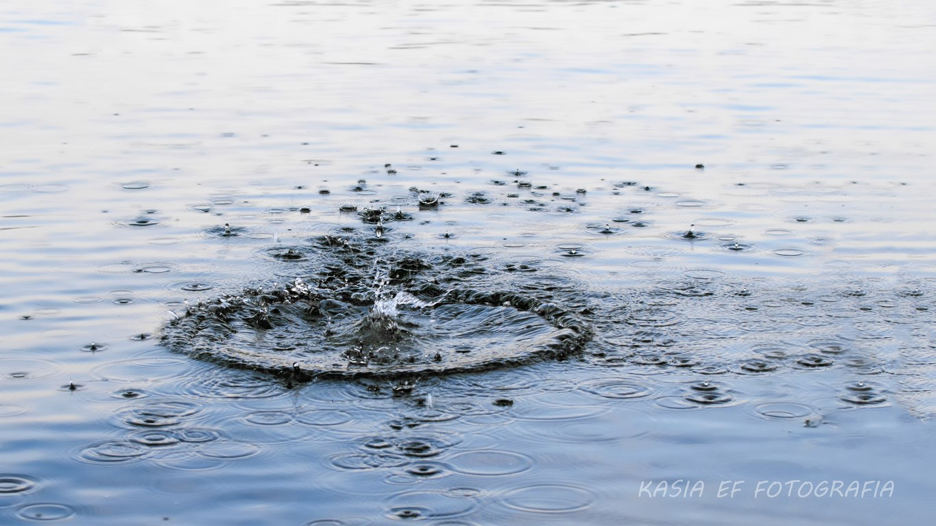 Nikon D300 sample photo. ... photography