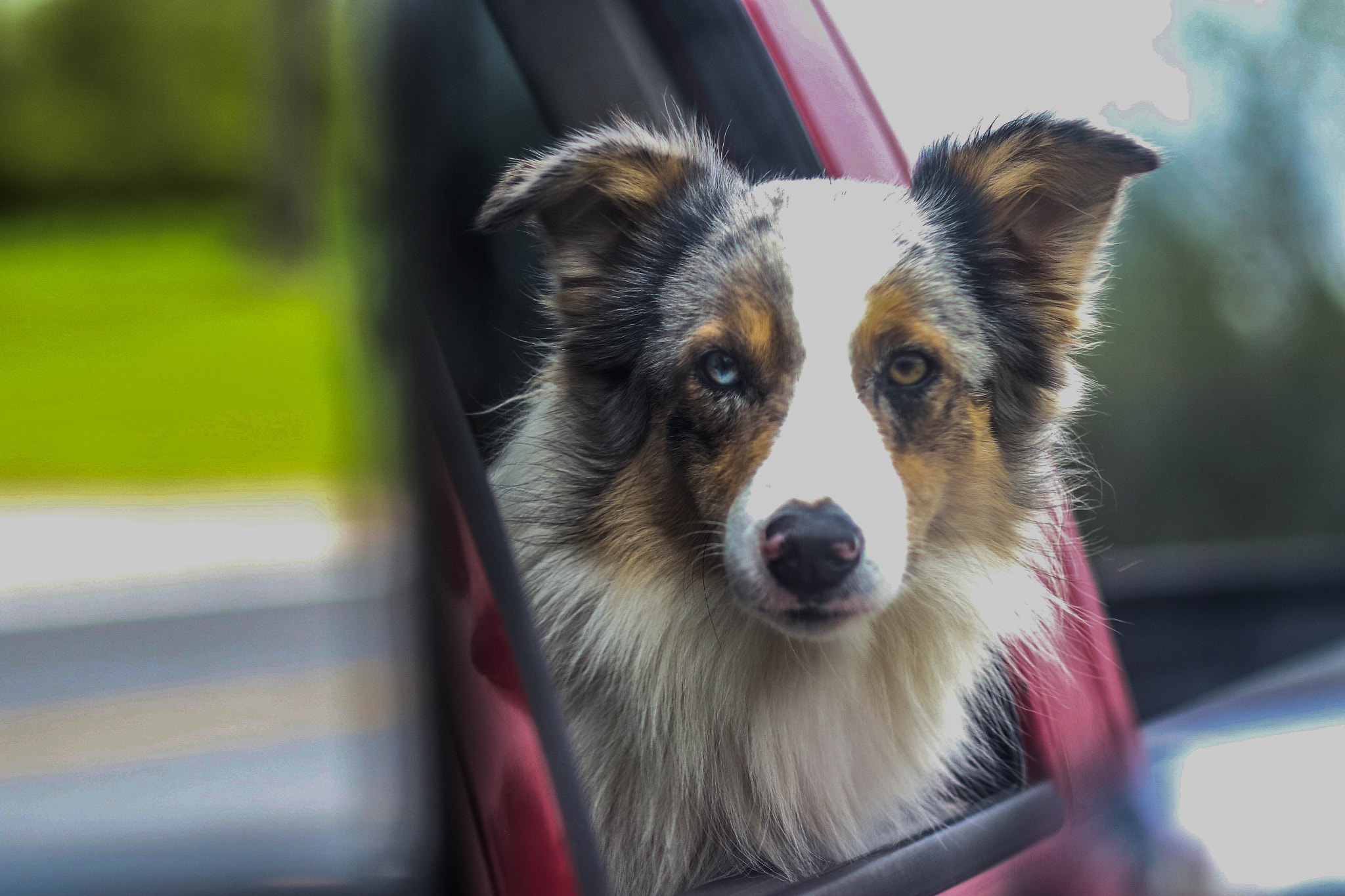 Canon EF 85mm F1.8 USM sample photo. Fearless photography
