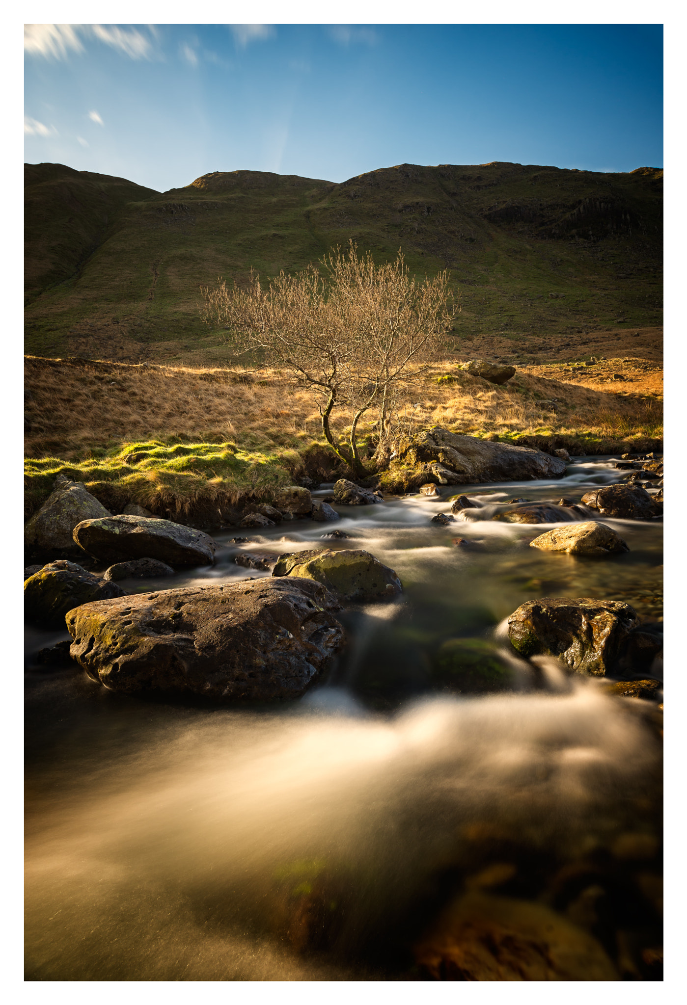 Nikon D610 sample photo. A tree in deepdale beck,uk photography
