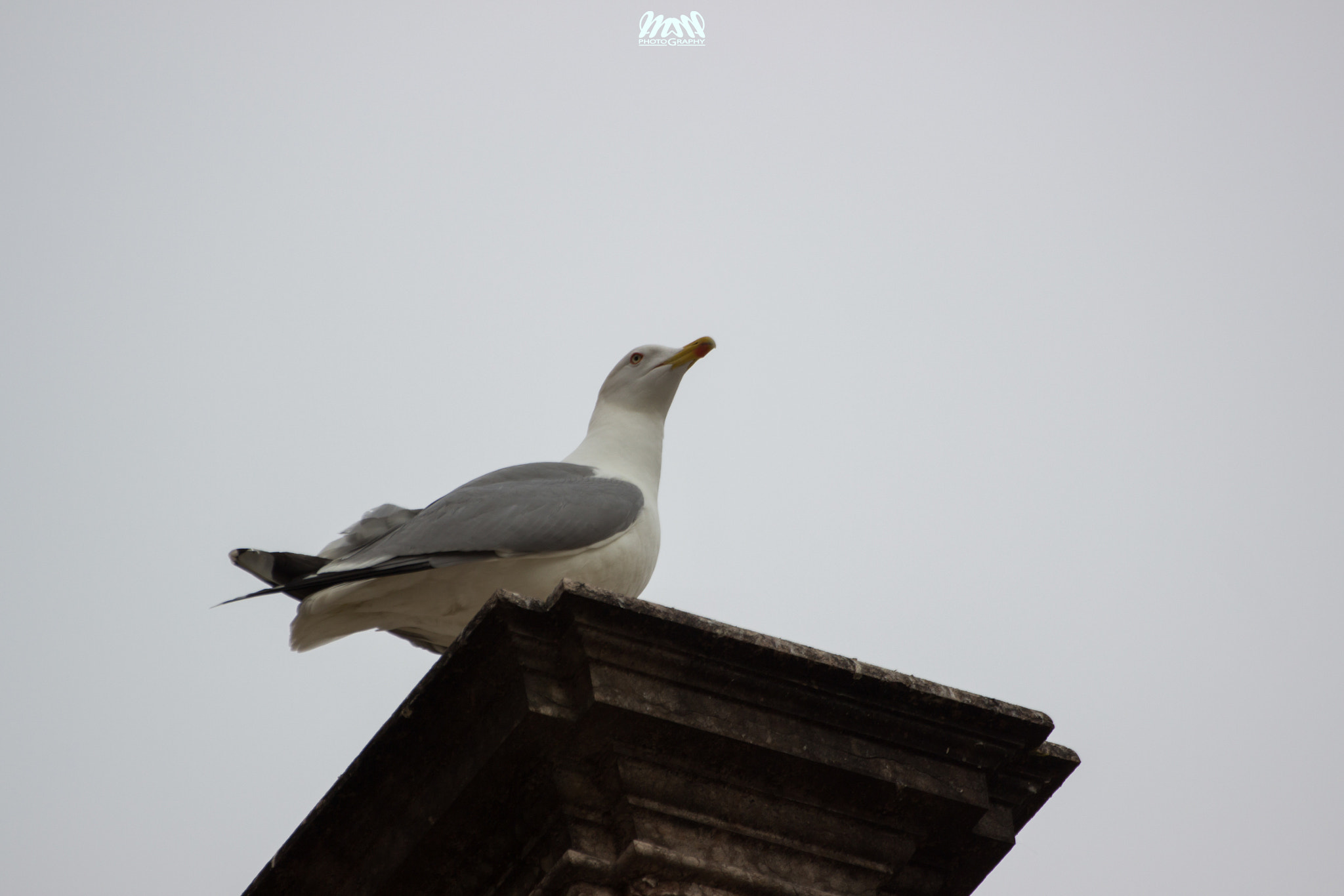 Tamron SP 35mm F1.8 Di VC USD sample photo. On the sky photography