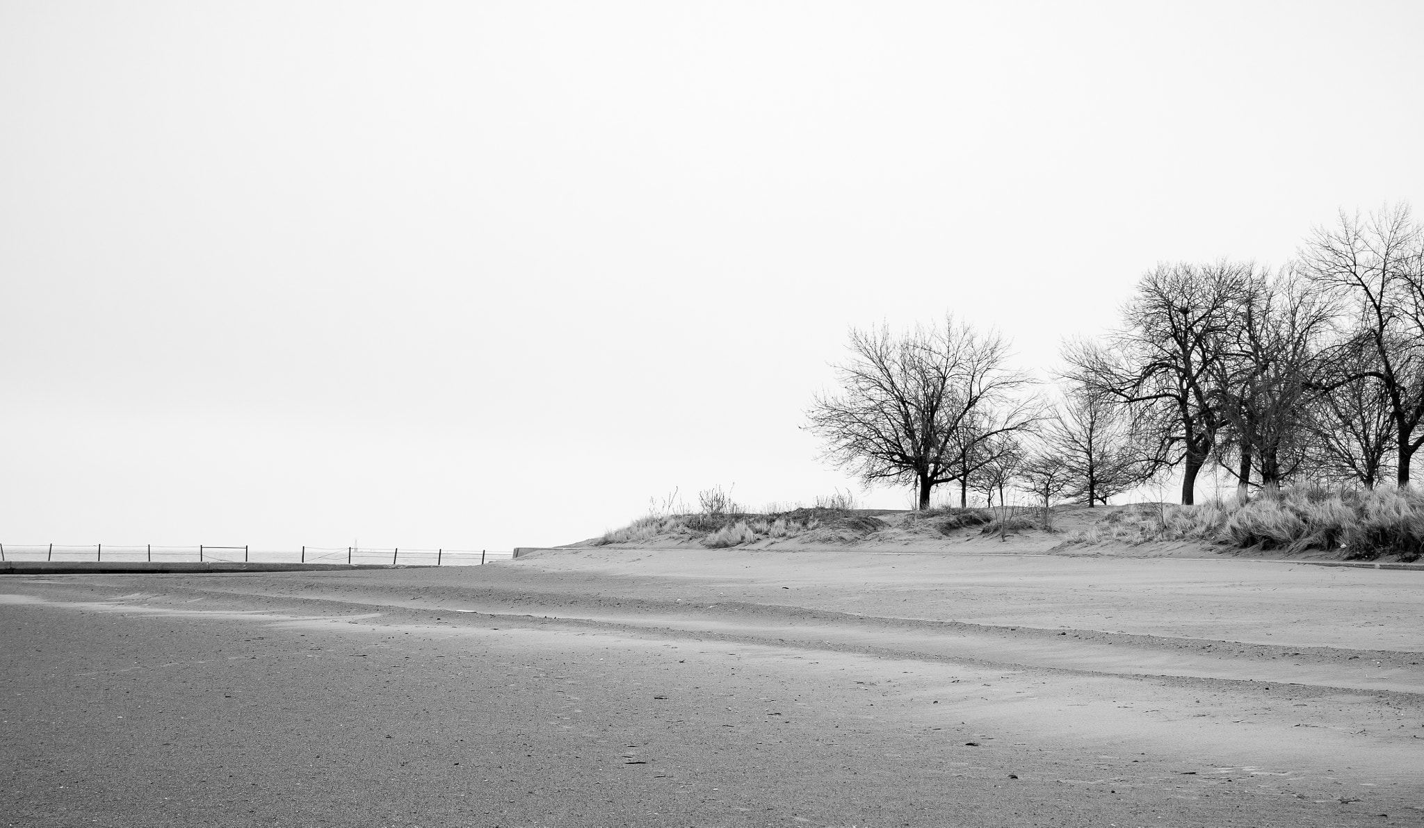 Canon EF-S 18-135mm F3.5-5.6 IS sample photo. Lonely season photography