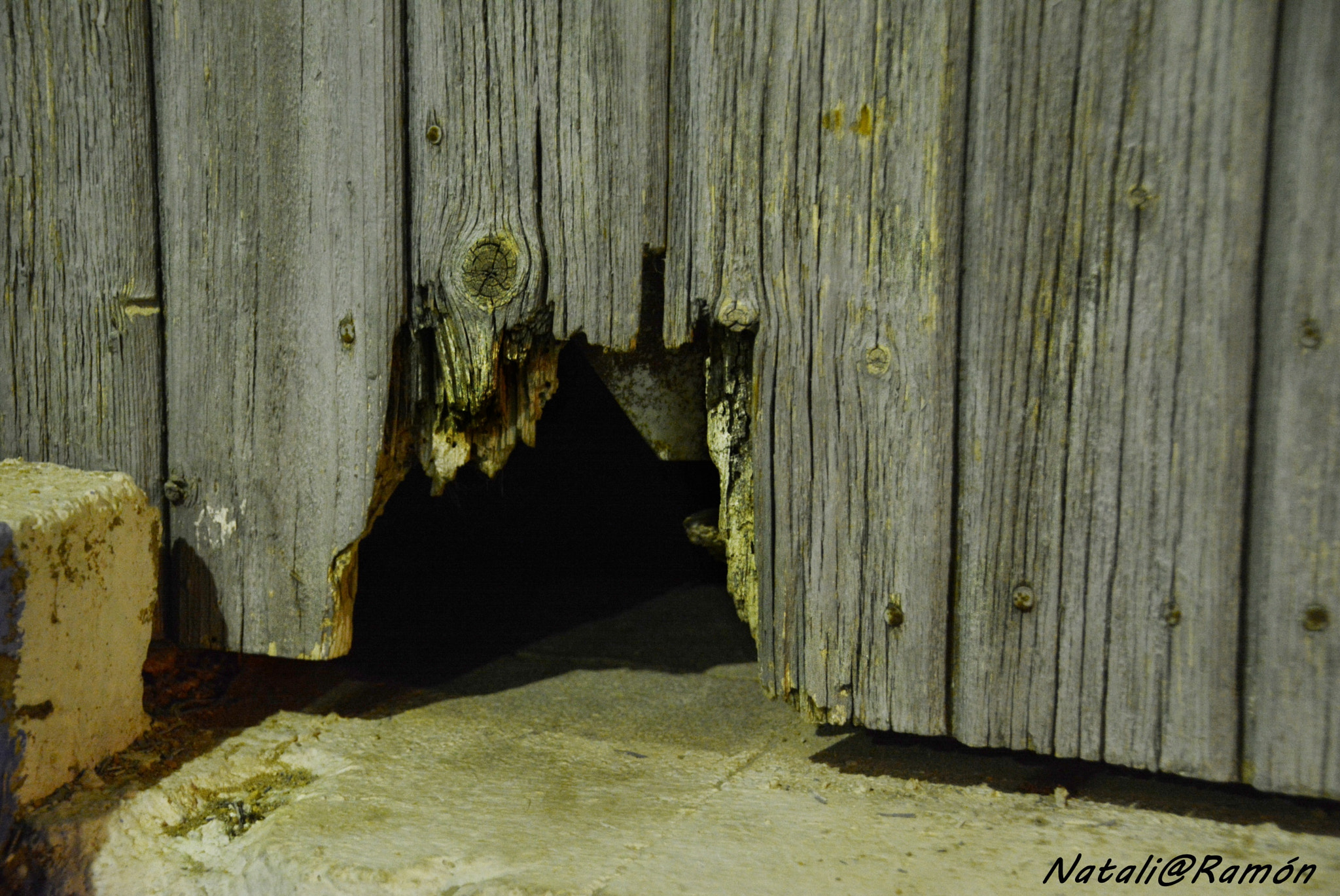 Nikon D7100 sample photo