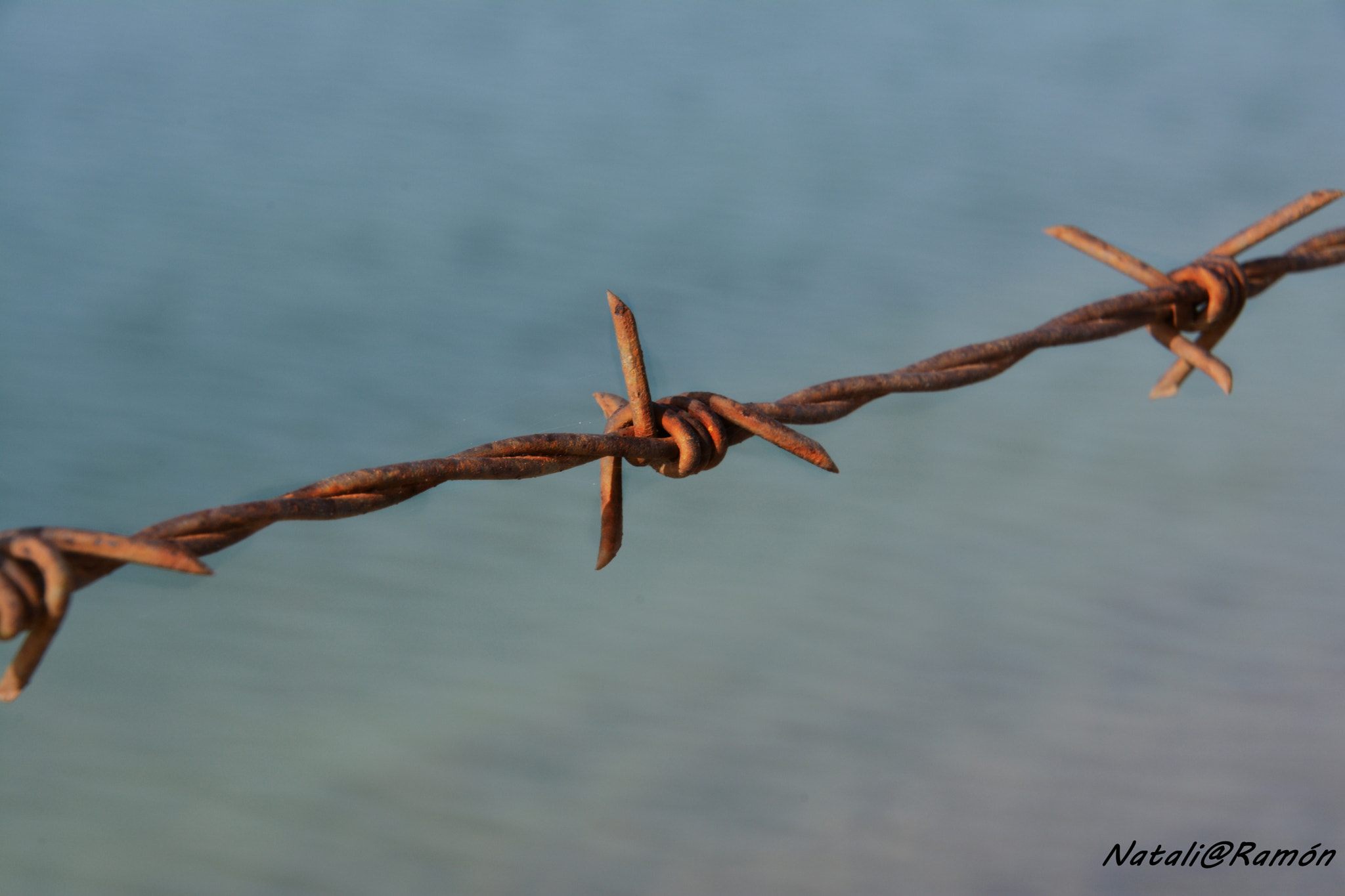 Nikon D7100 sample photo