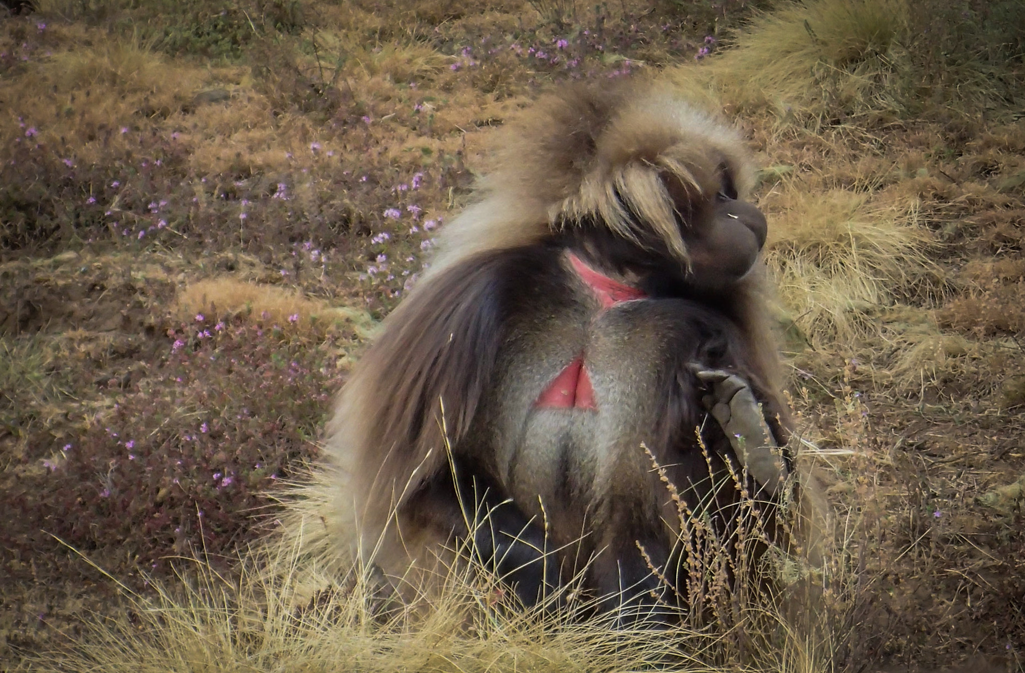 Olympus TG-3 sample photo. No,no photo please! photography