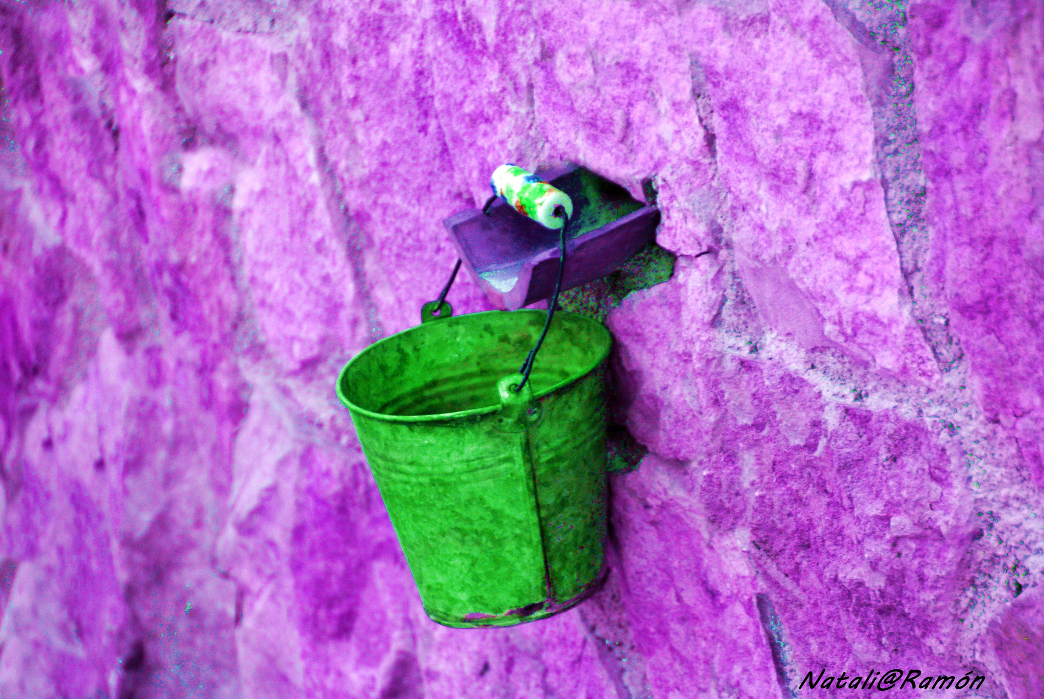 Sony Alpha DSLR-A230 sample photo